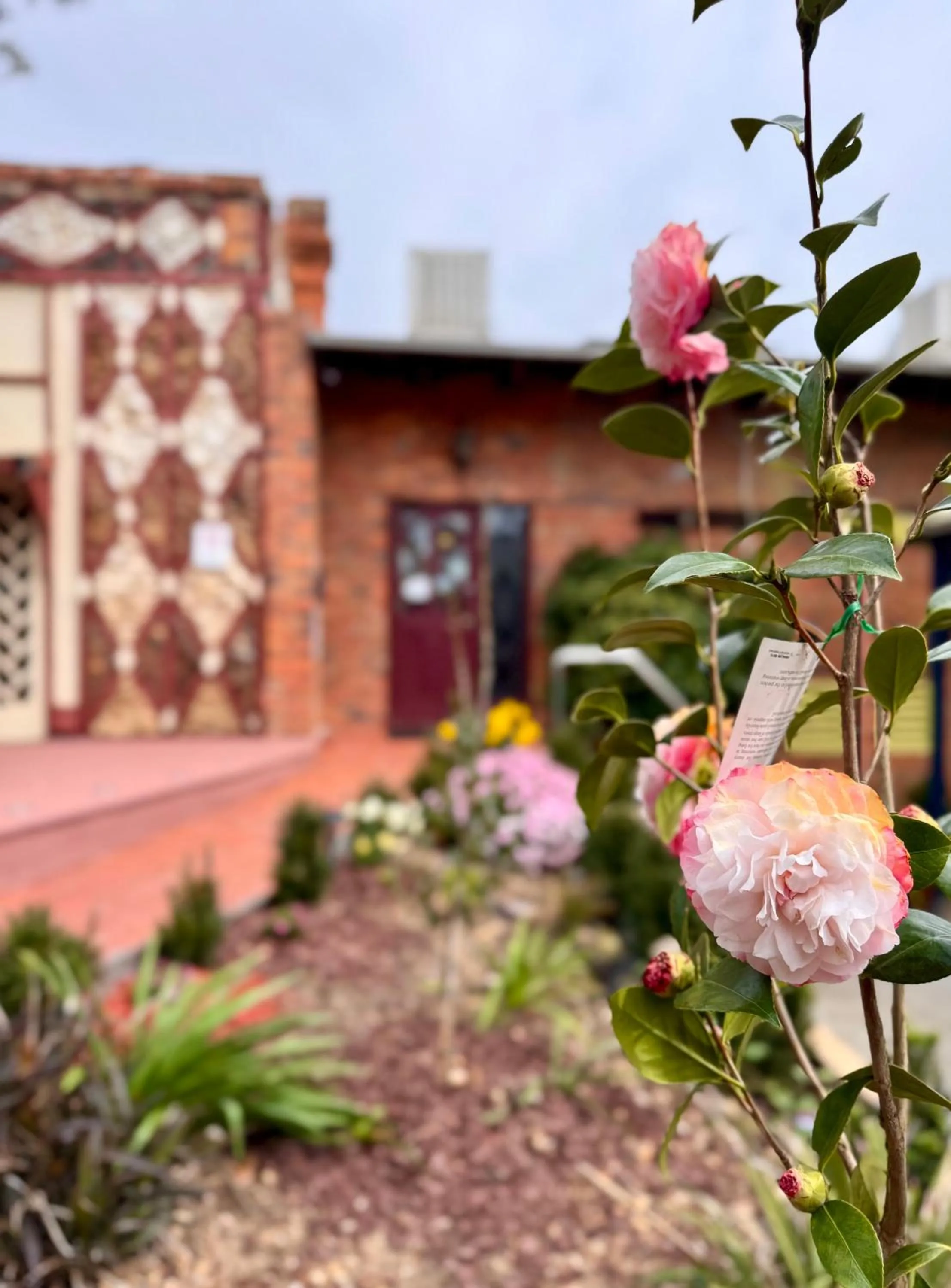 Property building in Diamond House Motor Inn