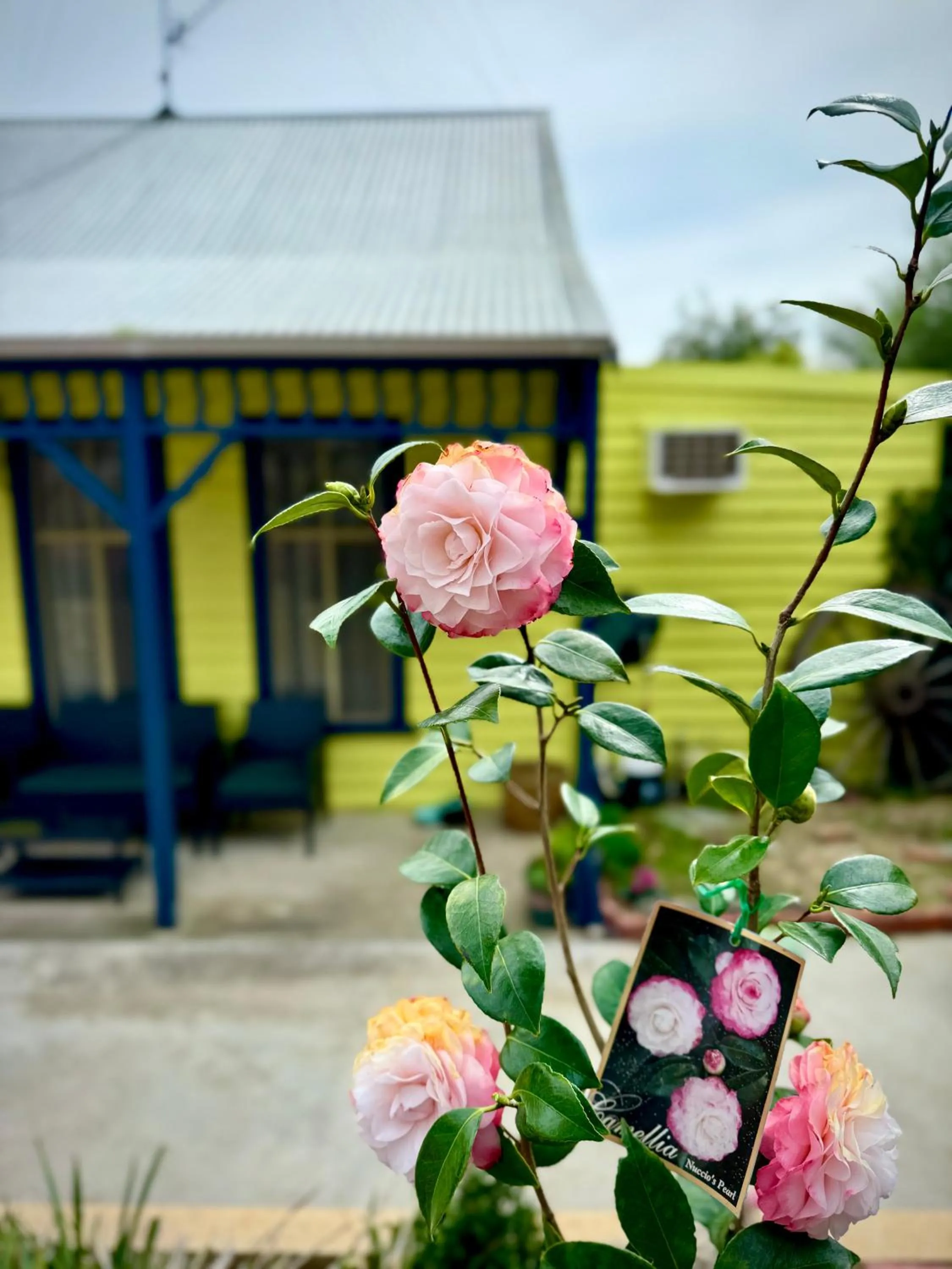 Family in Diamond House Motor Inn