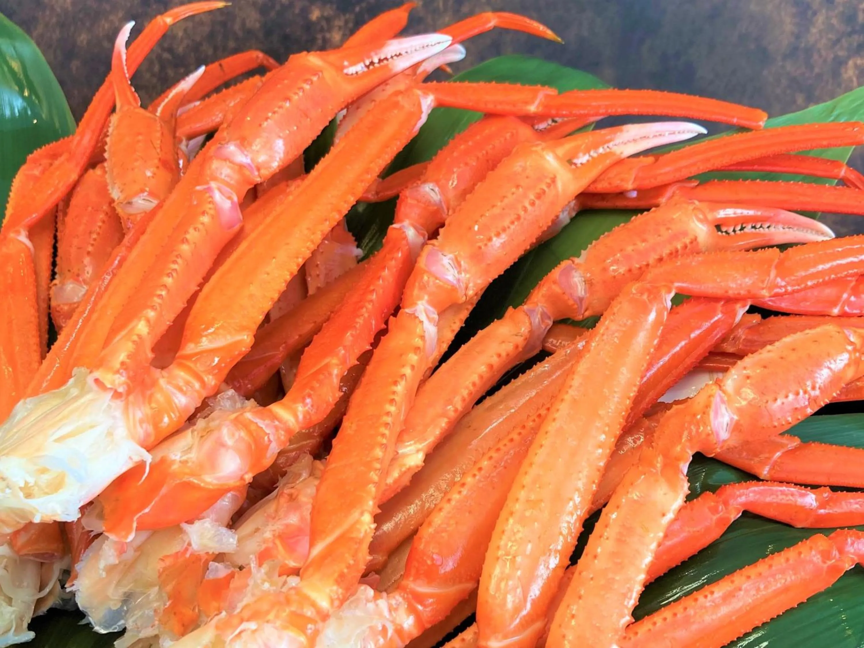 Restaurant/places to eat in Shizukuishi Prince Hotel