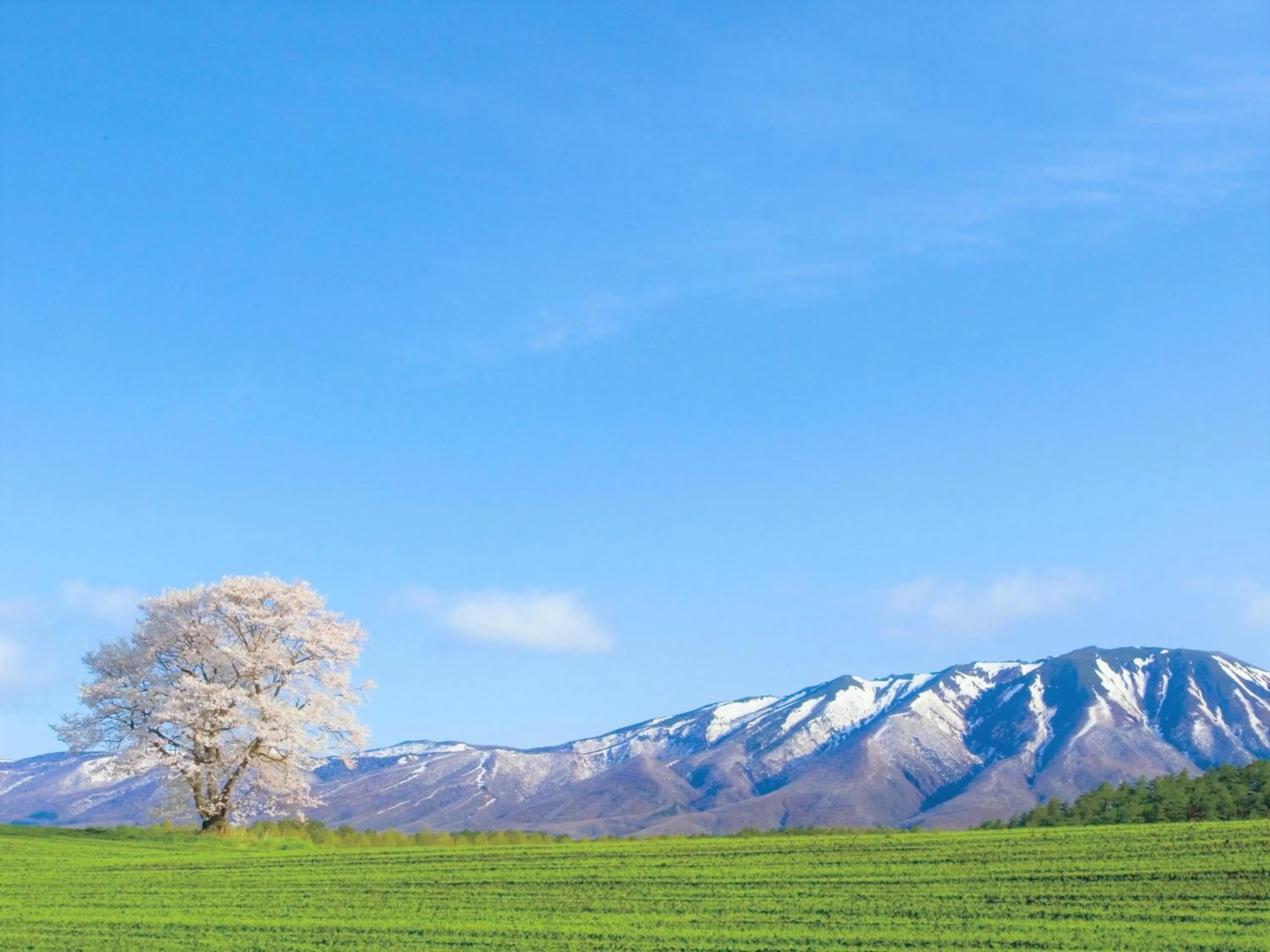 Nearby landmark in Shizukuishi Prince Hotel
