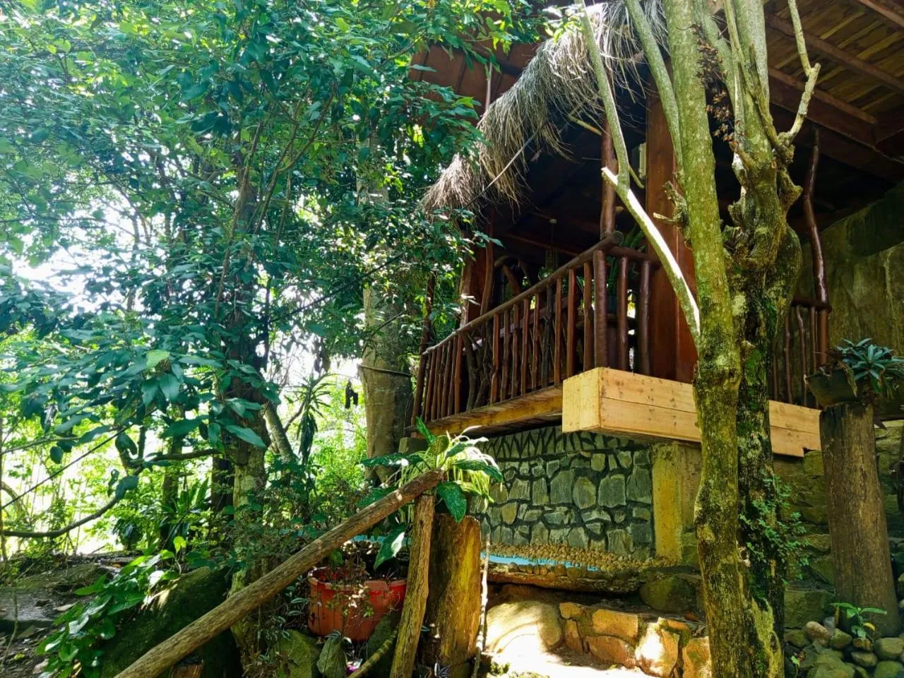 Natural landscape in Jungle Face Inn