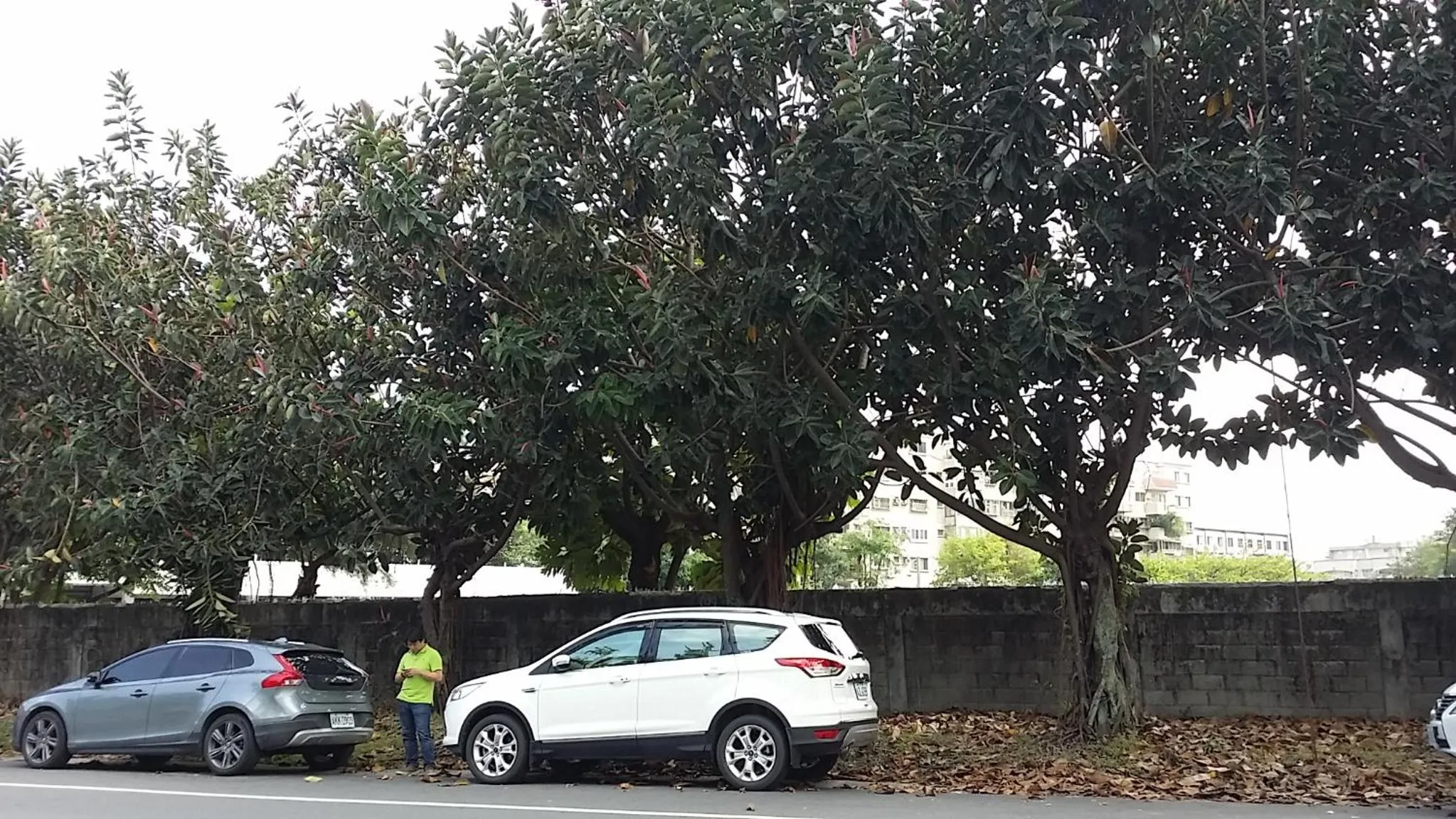 Neighbourhood in Hualien Seaside B&B