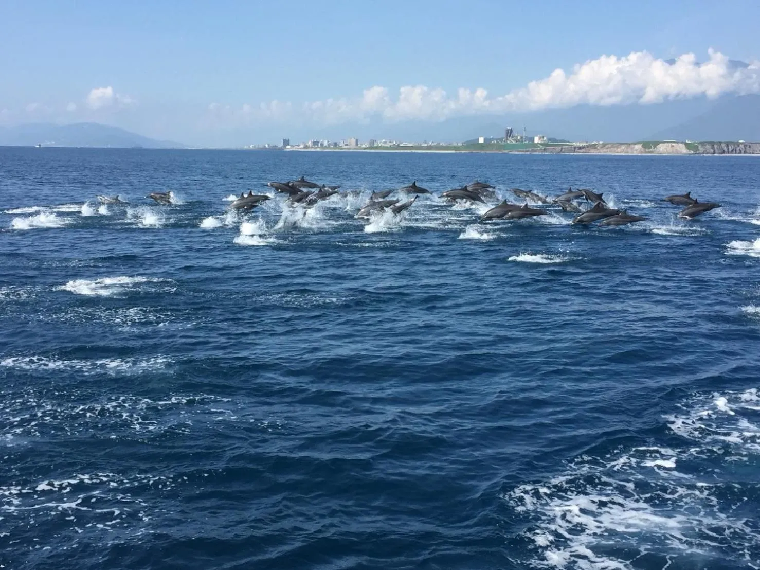 Neighbourhood in Hualien Seaside B&B