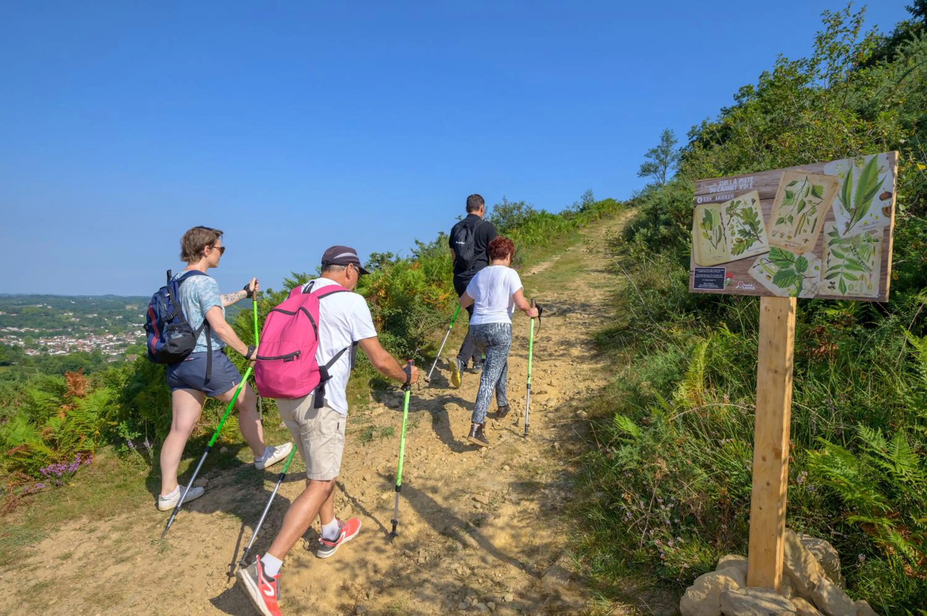 Activities in Village Club Le Saint Ignace