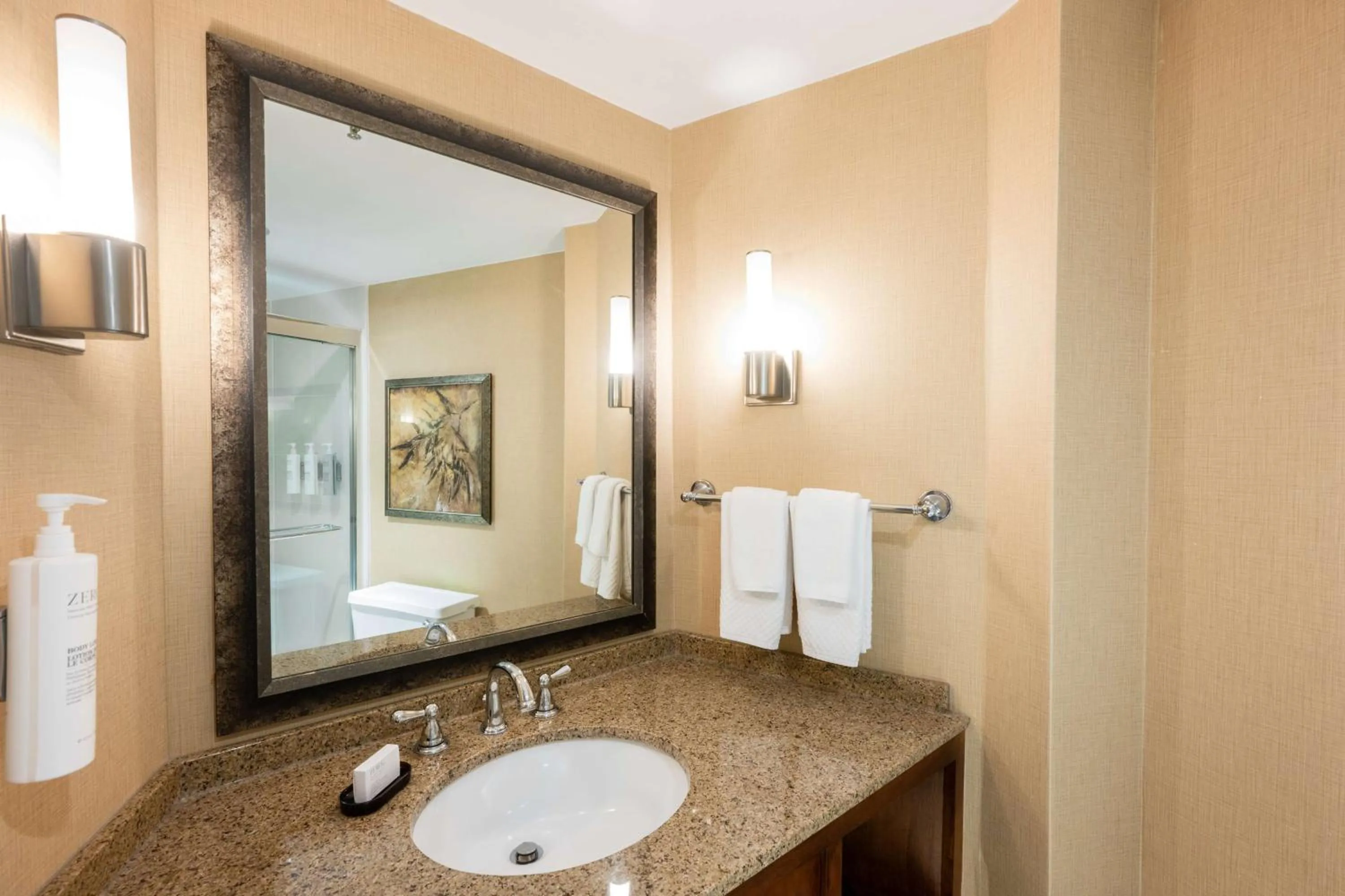 Bathroom in Embassy Suites by Hilton Bloomington/Minneapolis