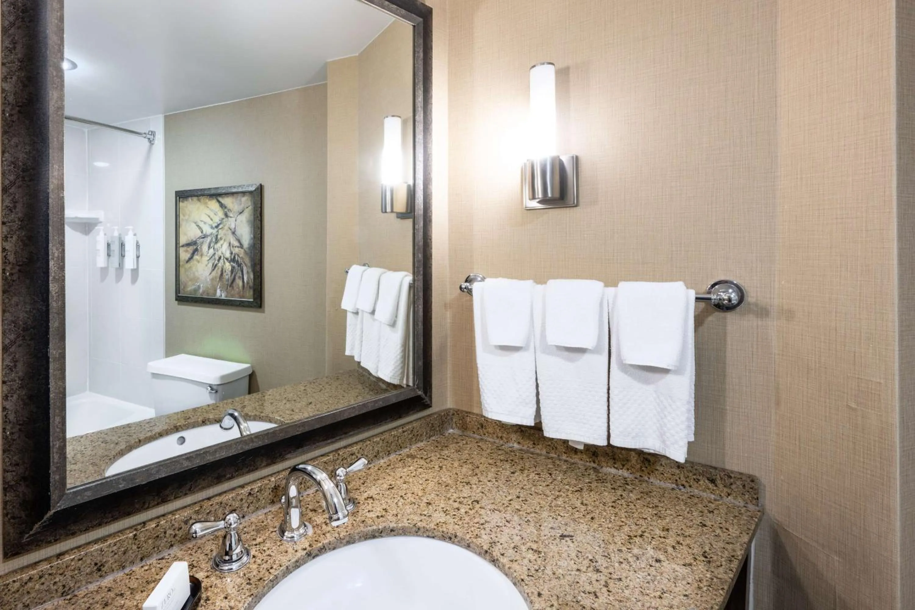 Bathroom in Embassy Suites by Hilton Bloomington/Minneapolis