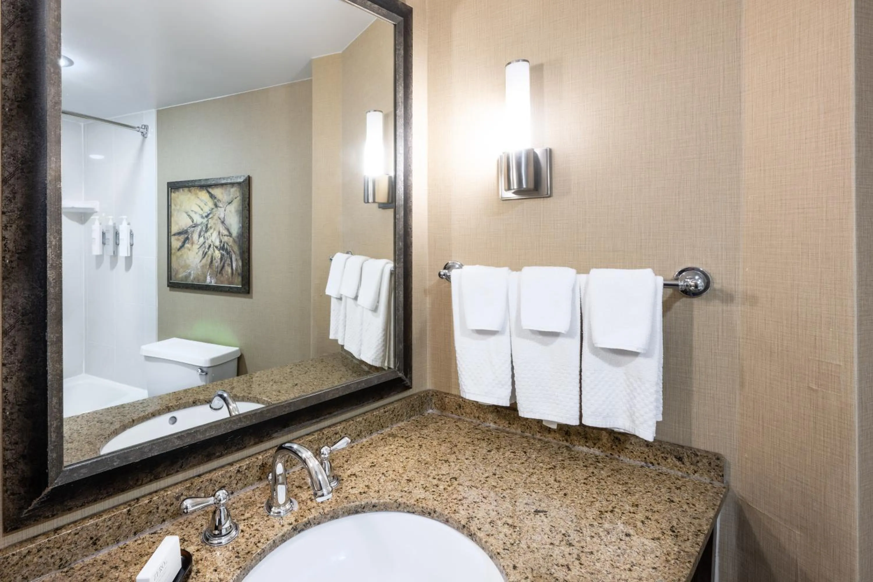 Bathroom in Embassy Suites by Hilton Bloomington/Minneapolis