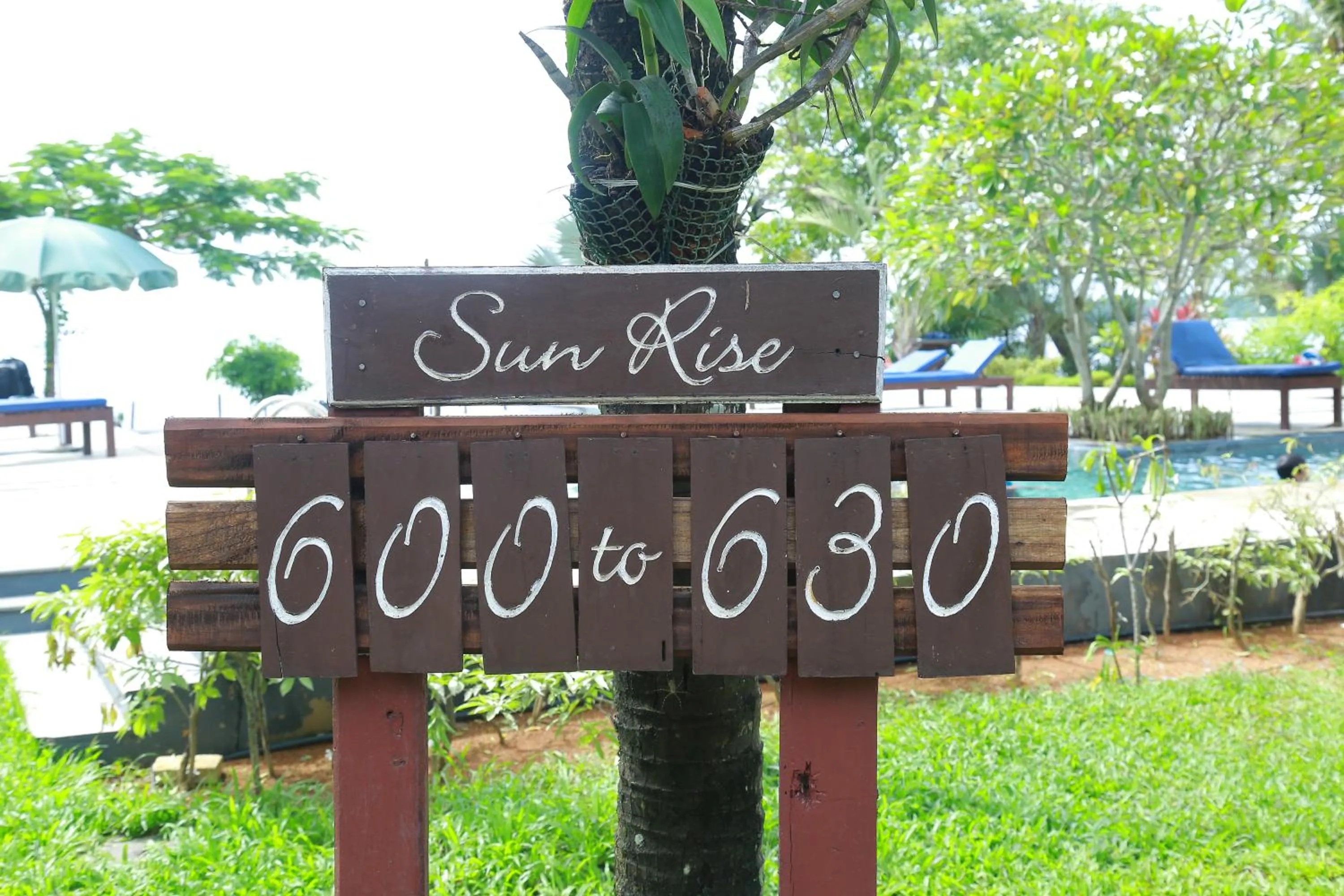 Deshadan Backwater Resort - The best sunrise view