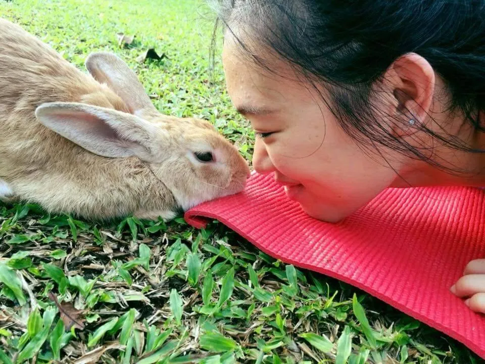 Deshadan Backwater Resort - The best sunrise view