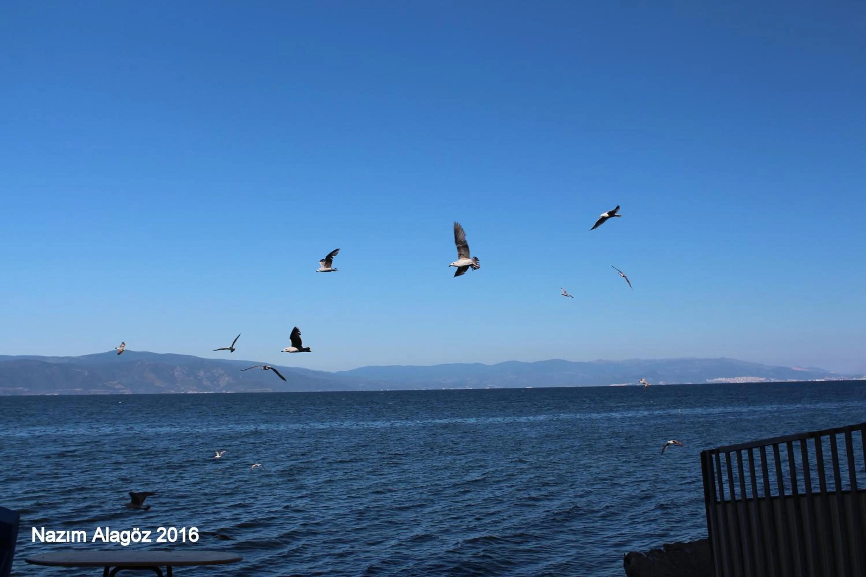 Entertainment in Kavala Hotel