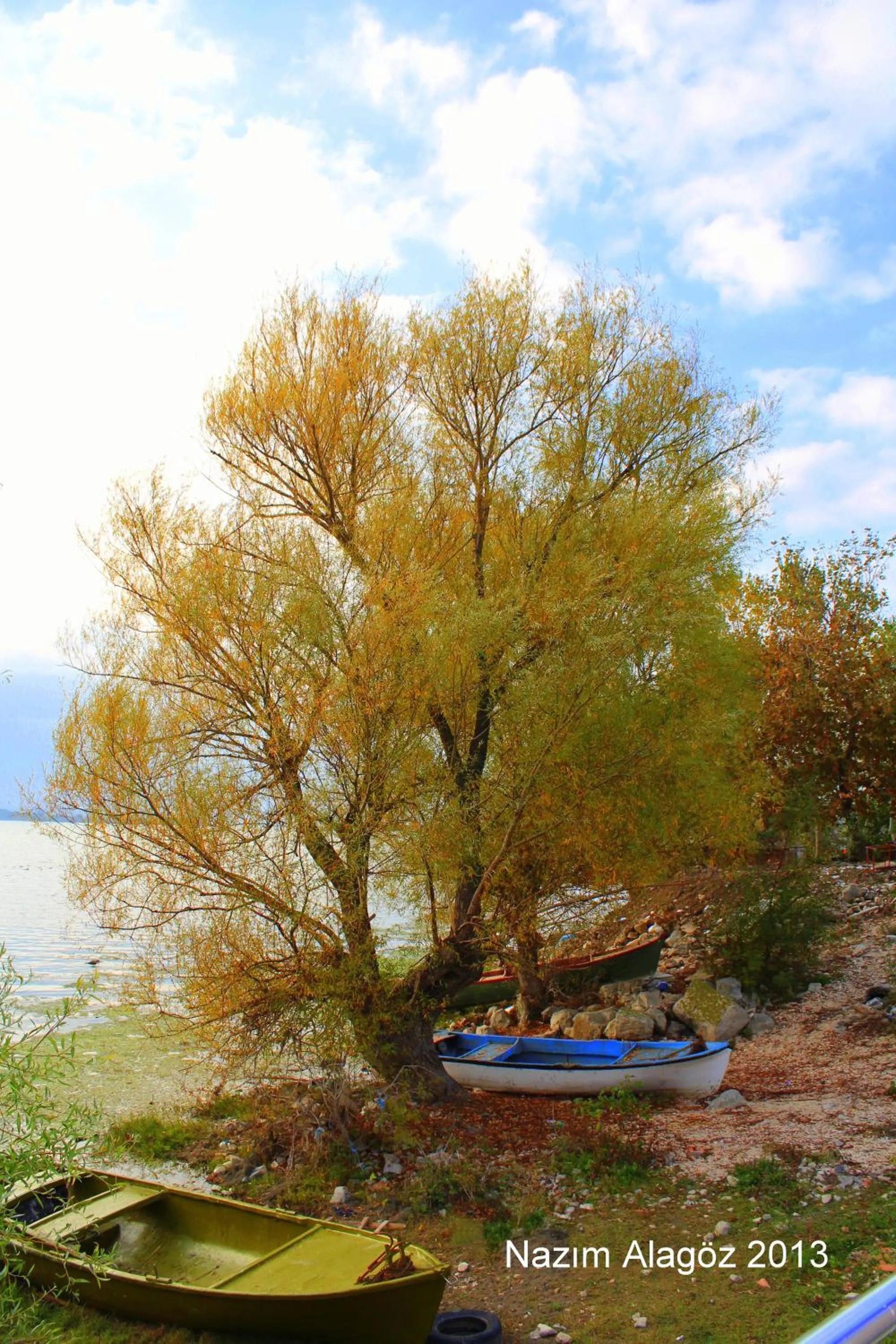 Activities in Kavala Hotel