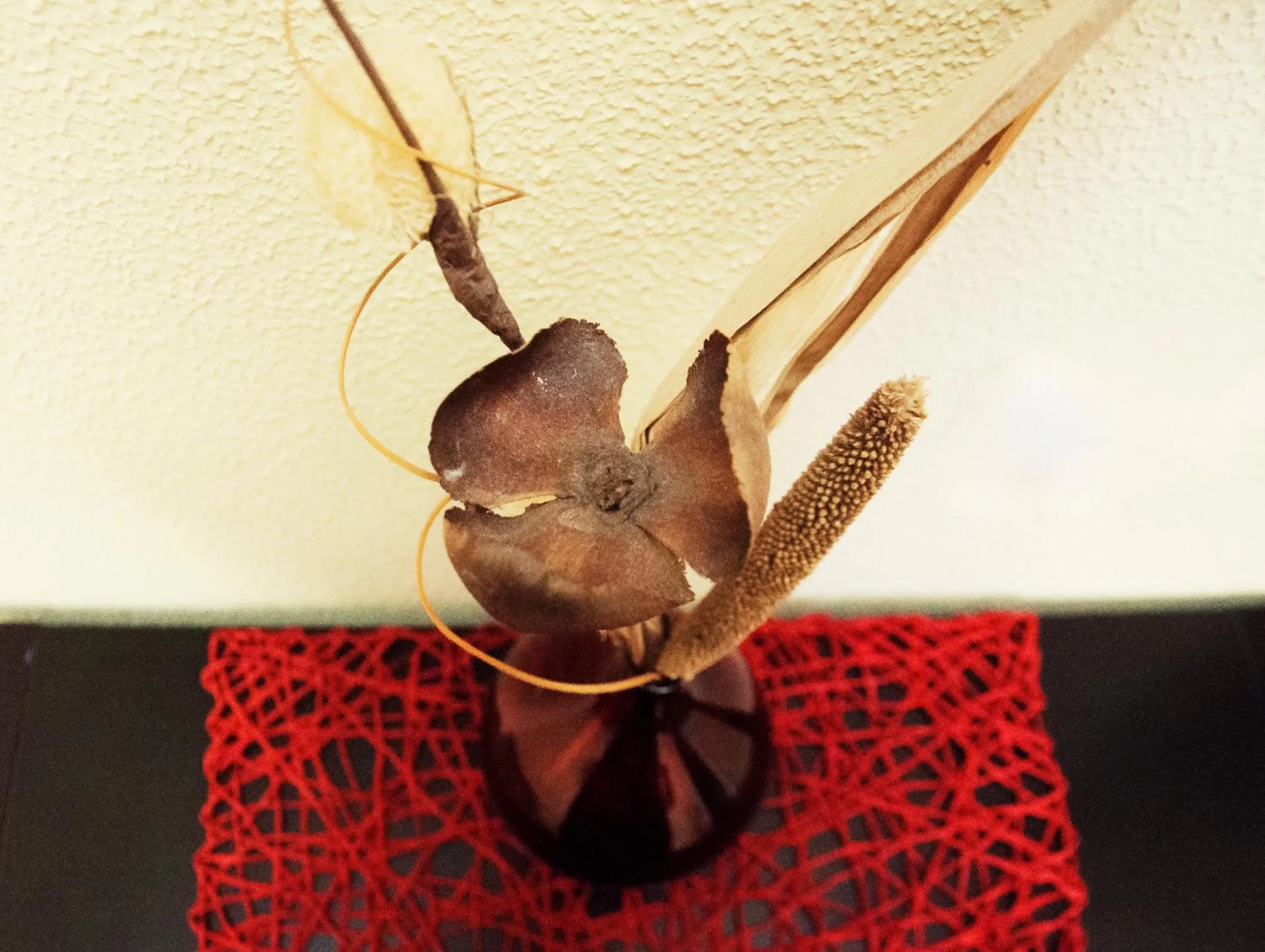 Decorative detail in CityLife Rome