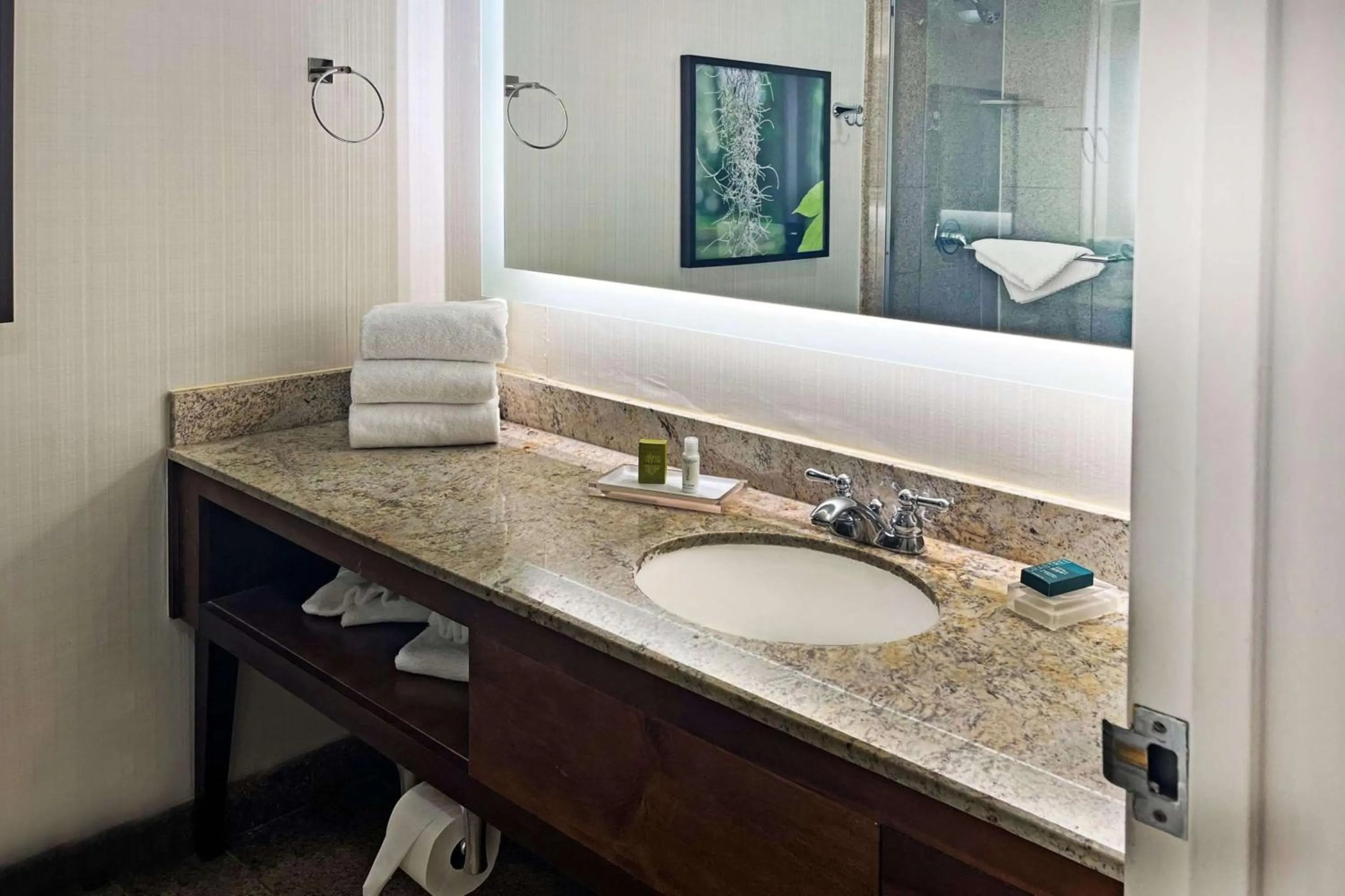 Bathroom in Hilton Ocala