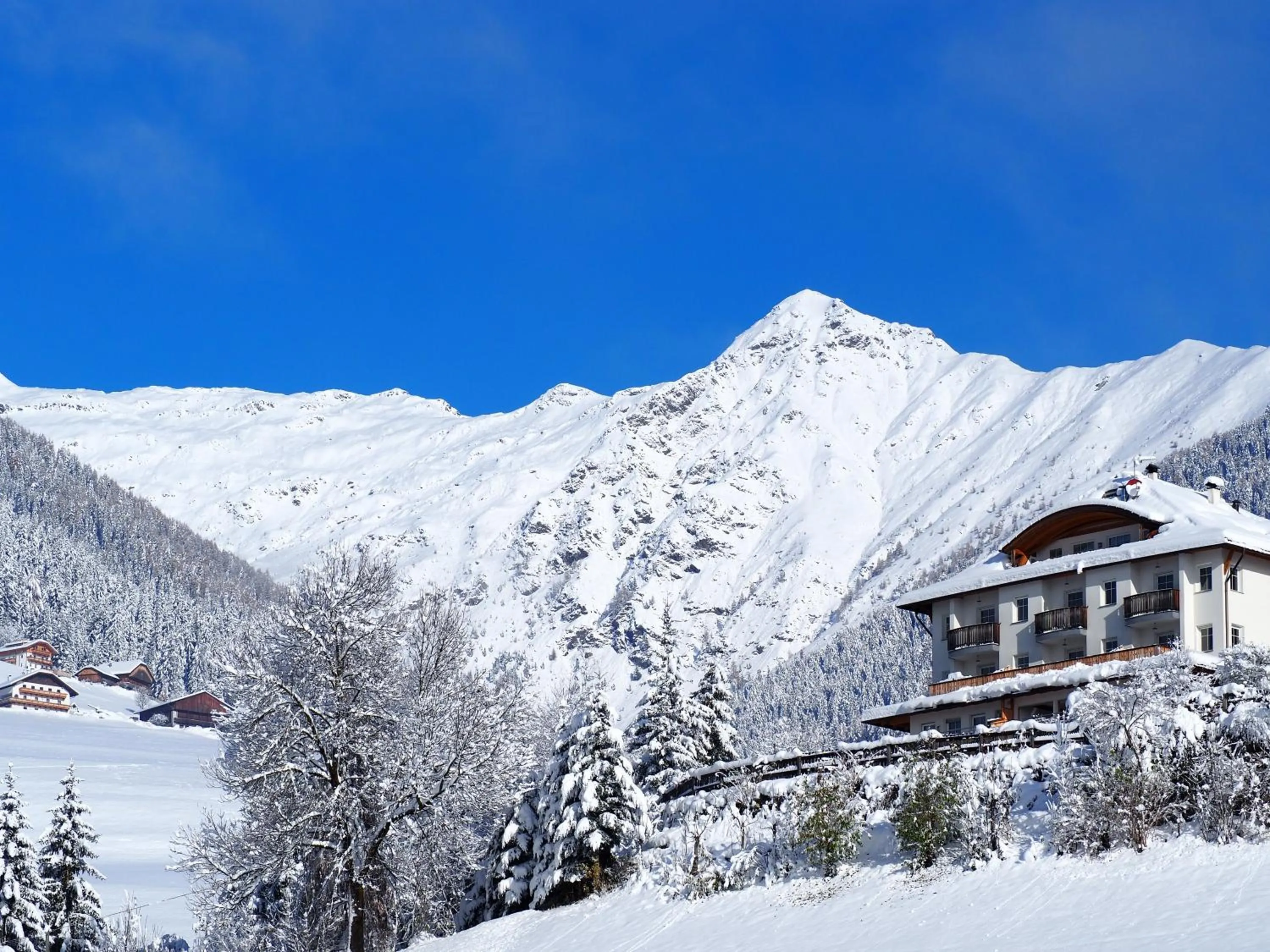 Winter in Residence Treyer