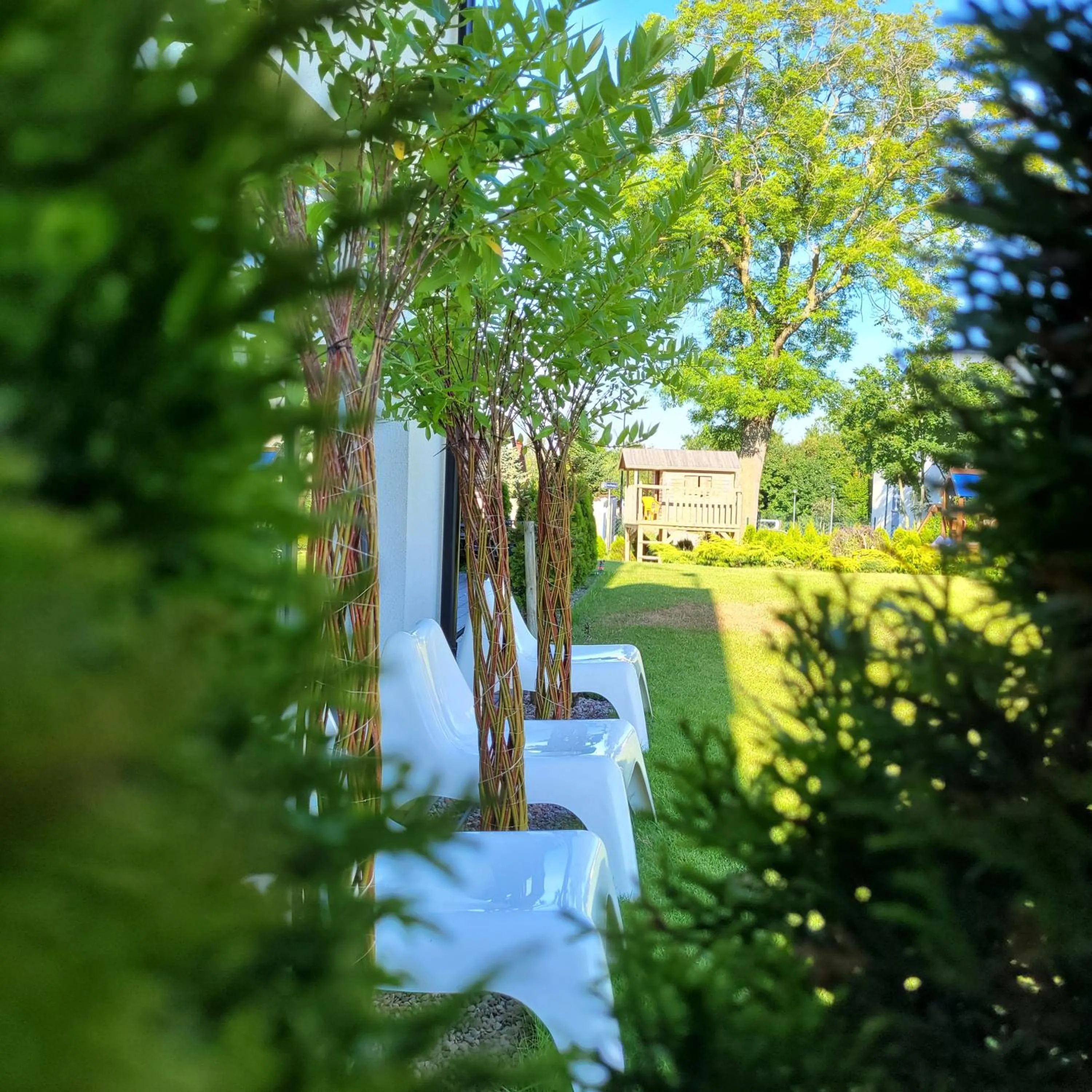 Garden in Willa Kardamon