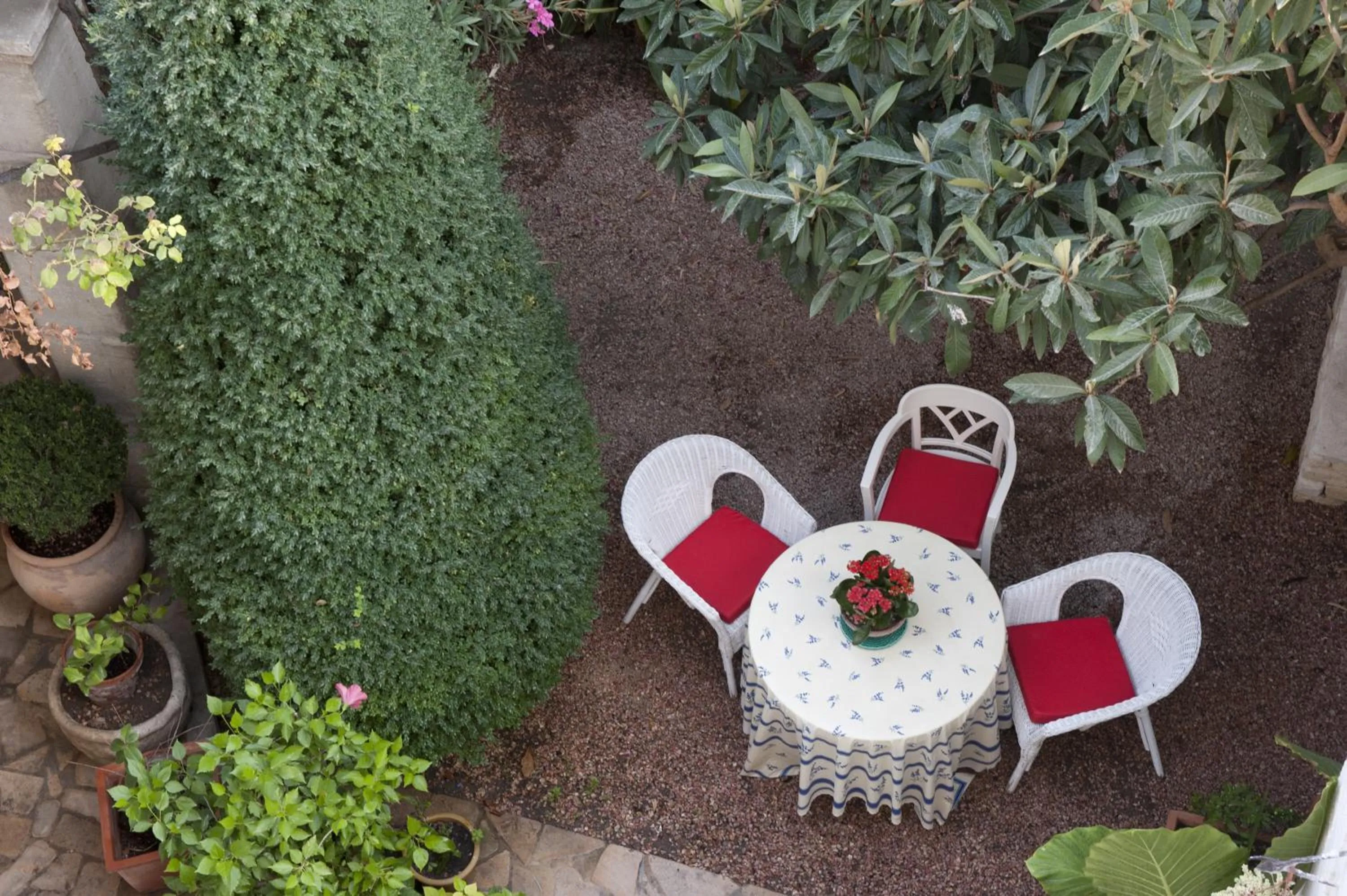 Garden view in La Maison du Peintre en Provence