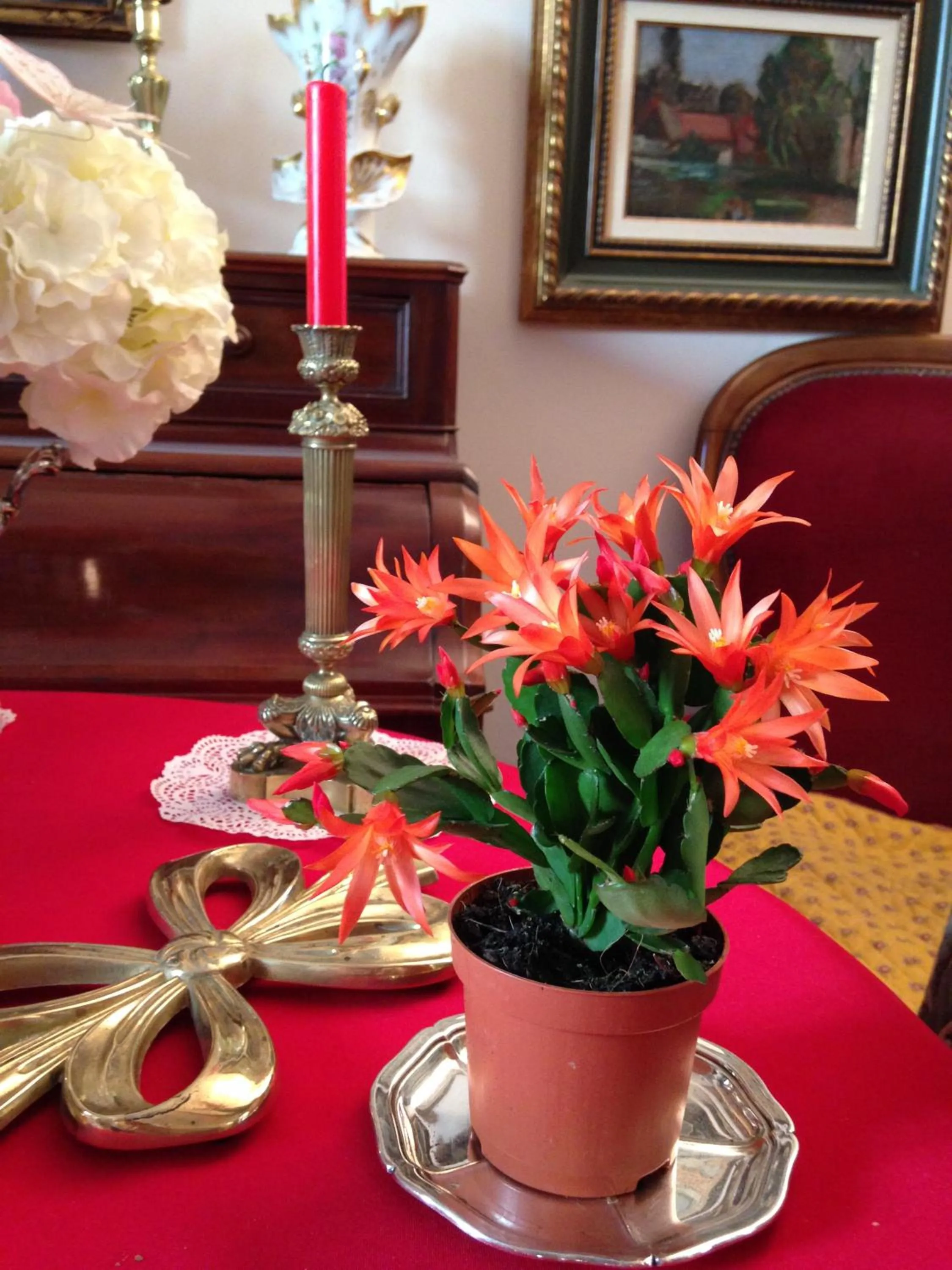 La Maison du Peintre en Provence