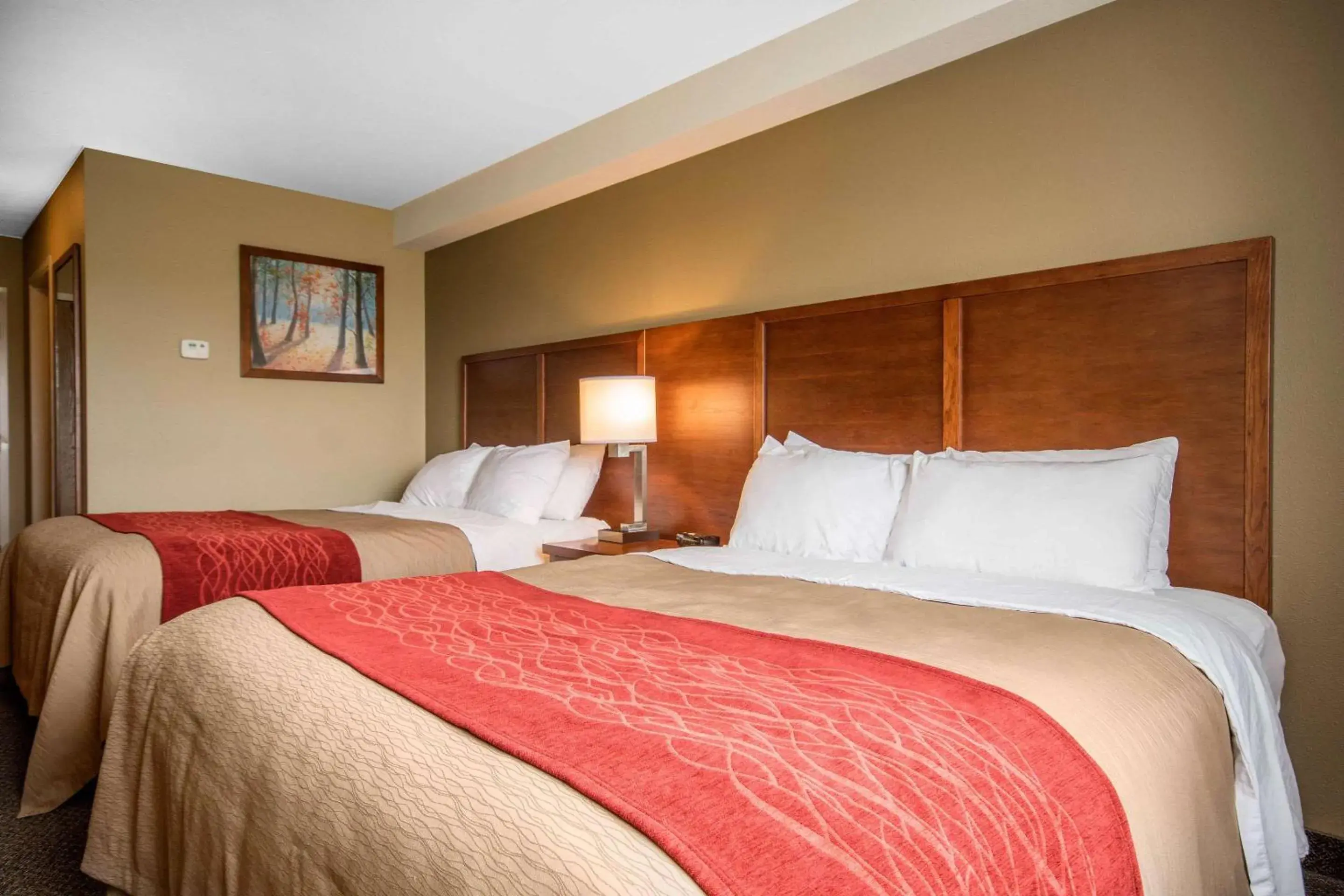 Bedroom, Bed in Comfort Inn & Suites Bedroom, Bed in Comfort Inn & Suites