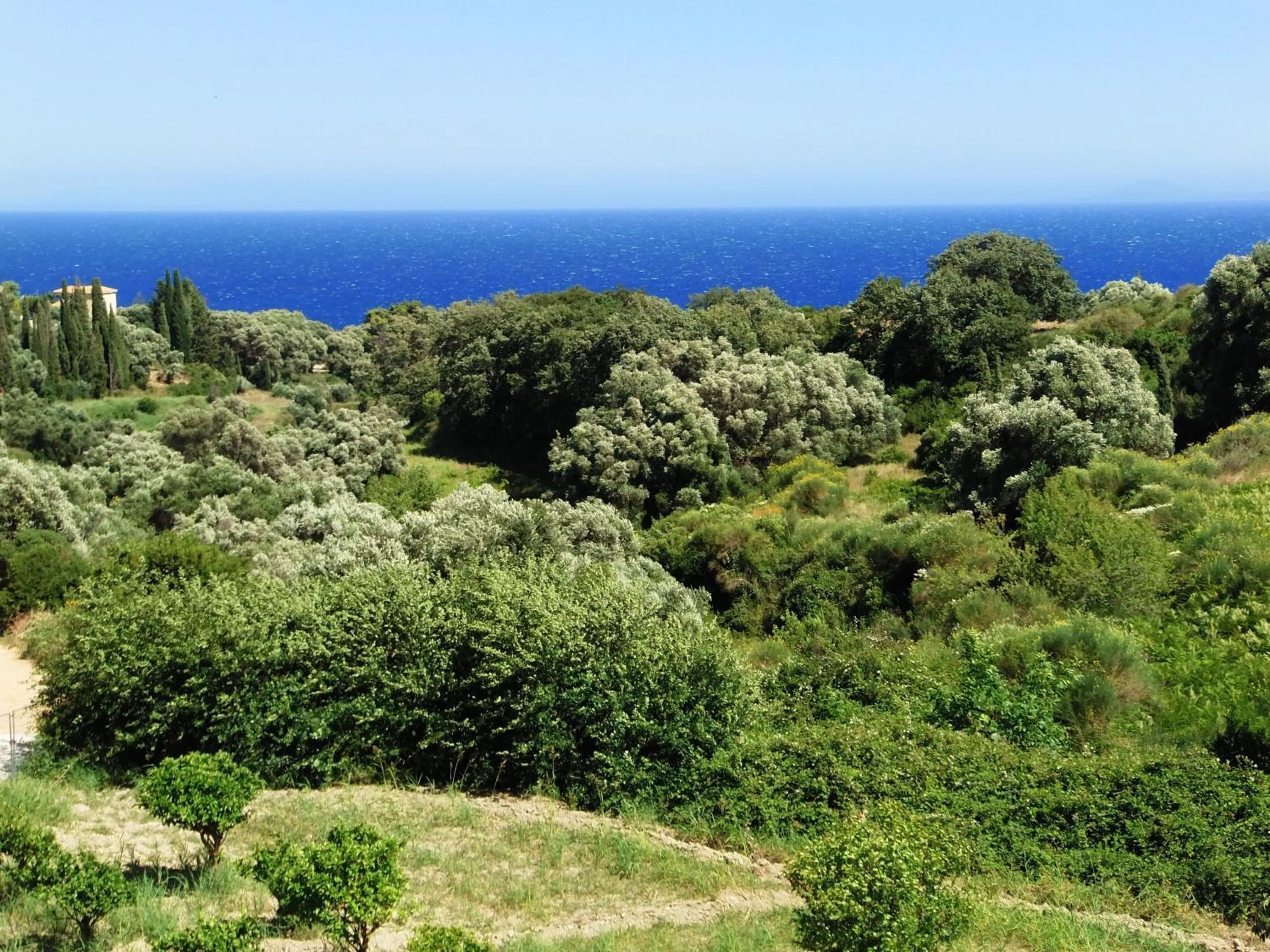 Natural landscape in Amazona Apartments and Studios