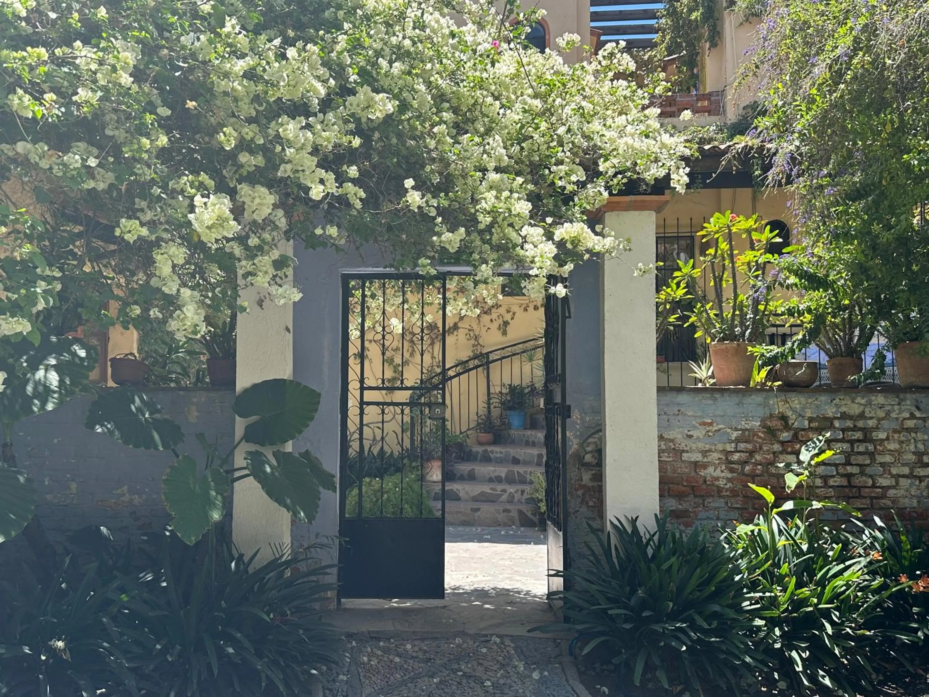 Garden in Casa de la Noche