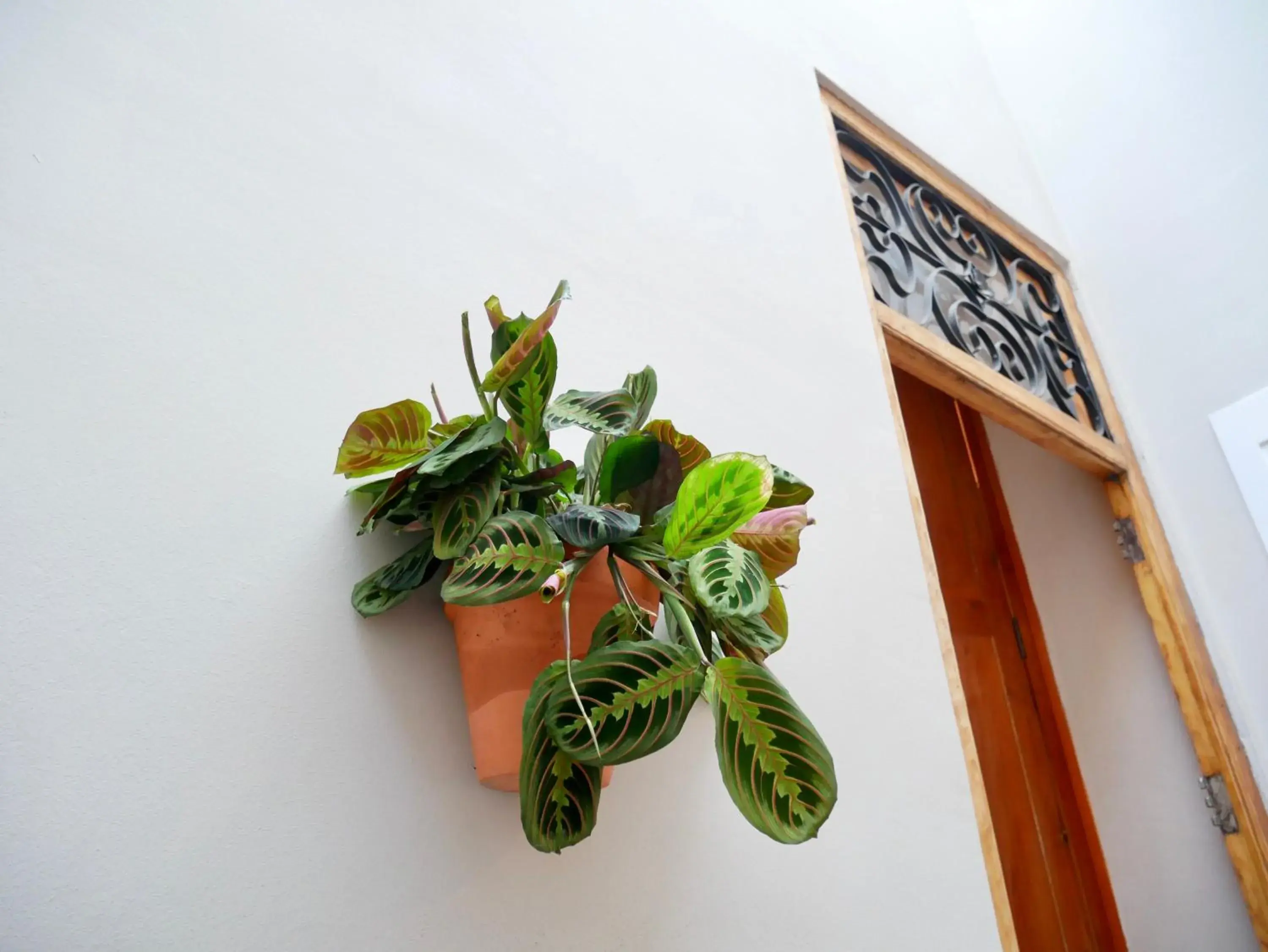 Facade/entrance in Bird House Facade/entrance in Bird House