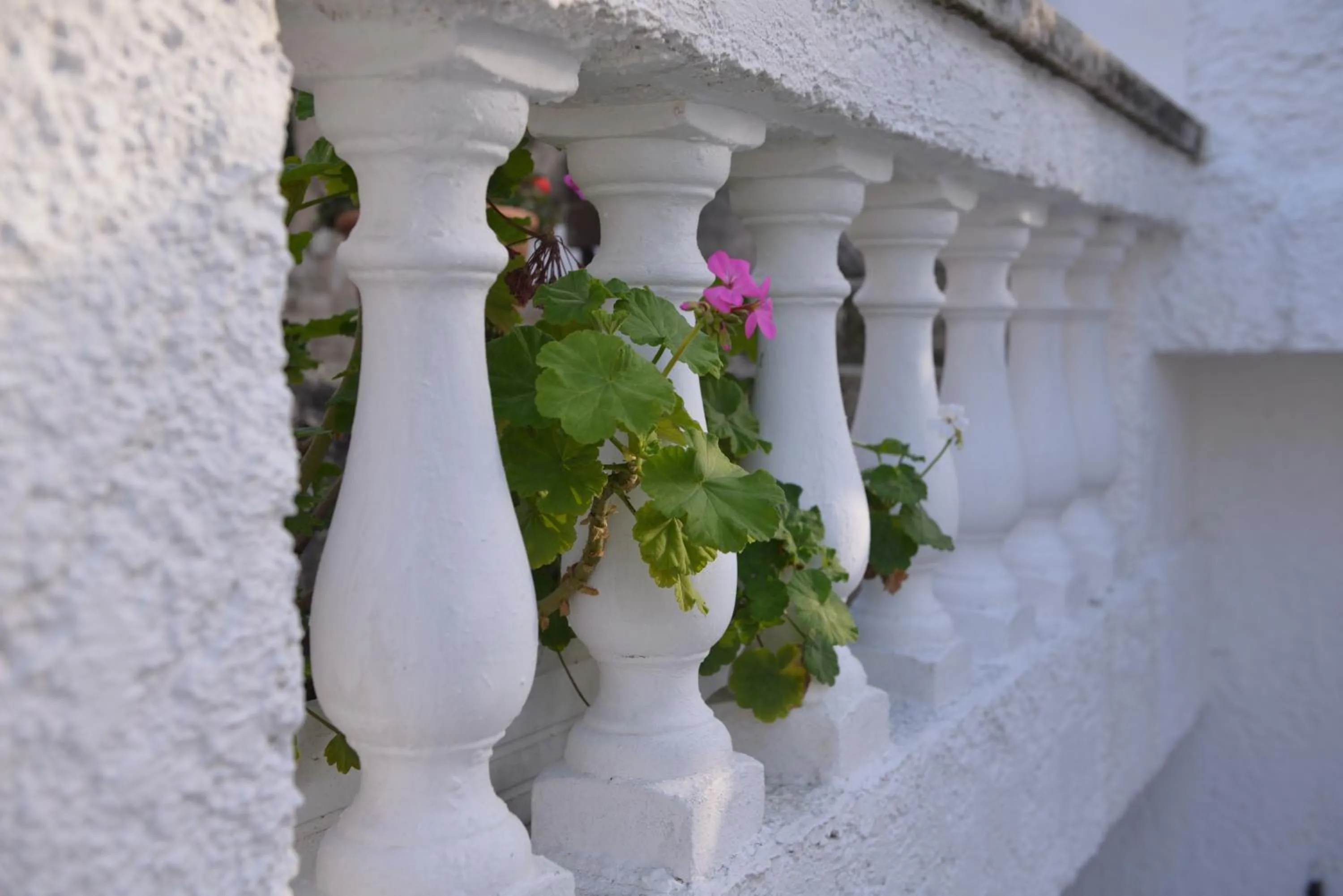 Troullos Traditional Homes