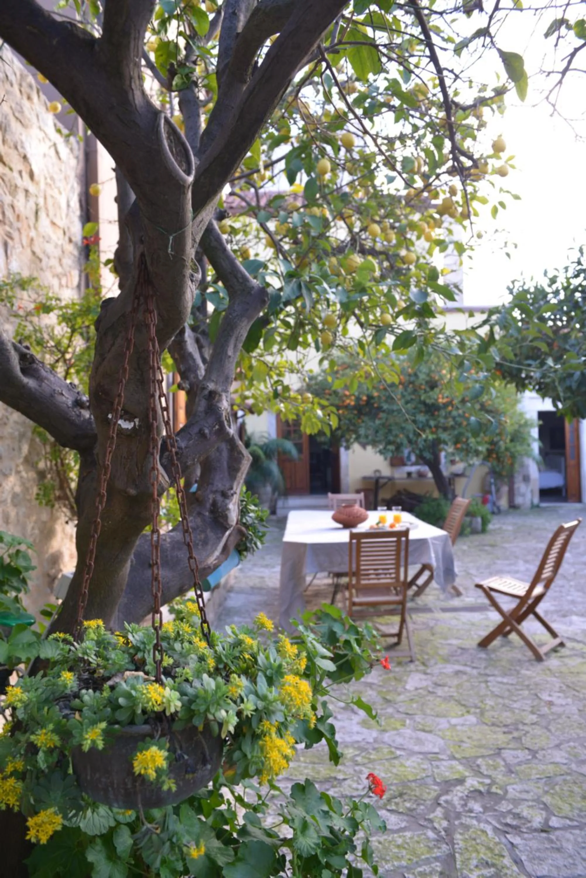 Troullos Traditional Homes
