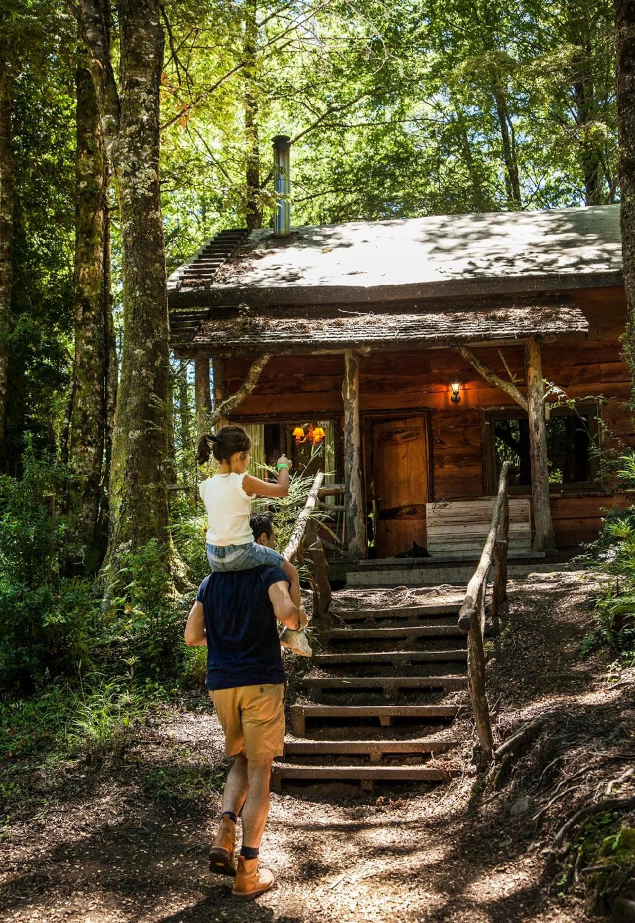 Huilo Huilo Cabañas del Bosque