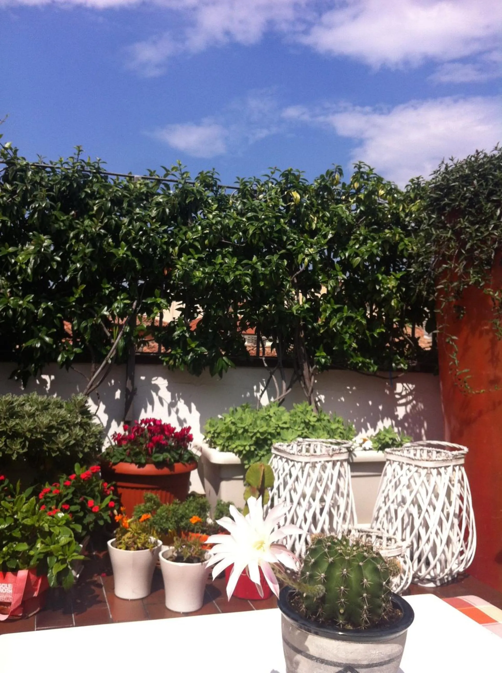 Balcony/Terrace in B&B Casanova