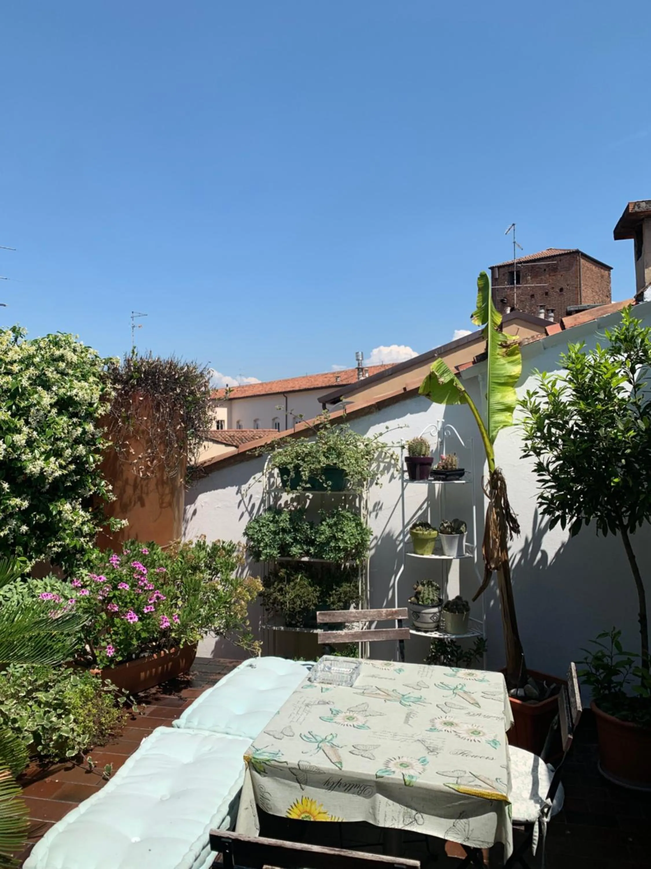Balcony/Terrace in B&B Casanova