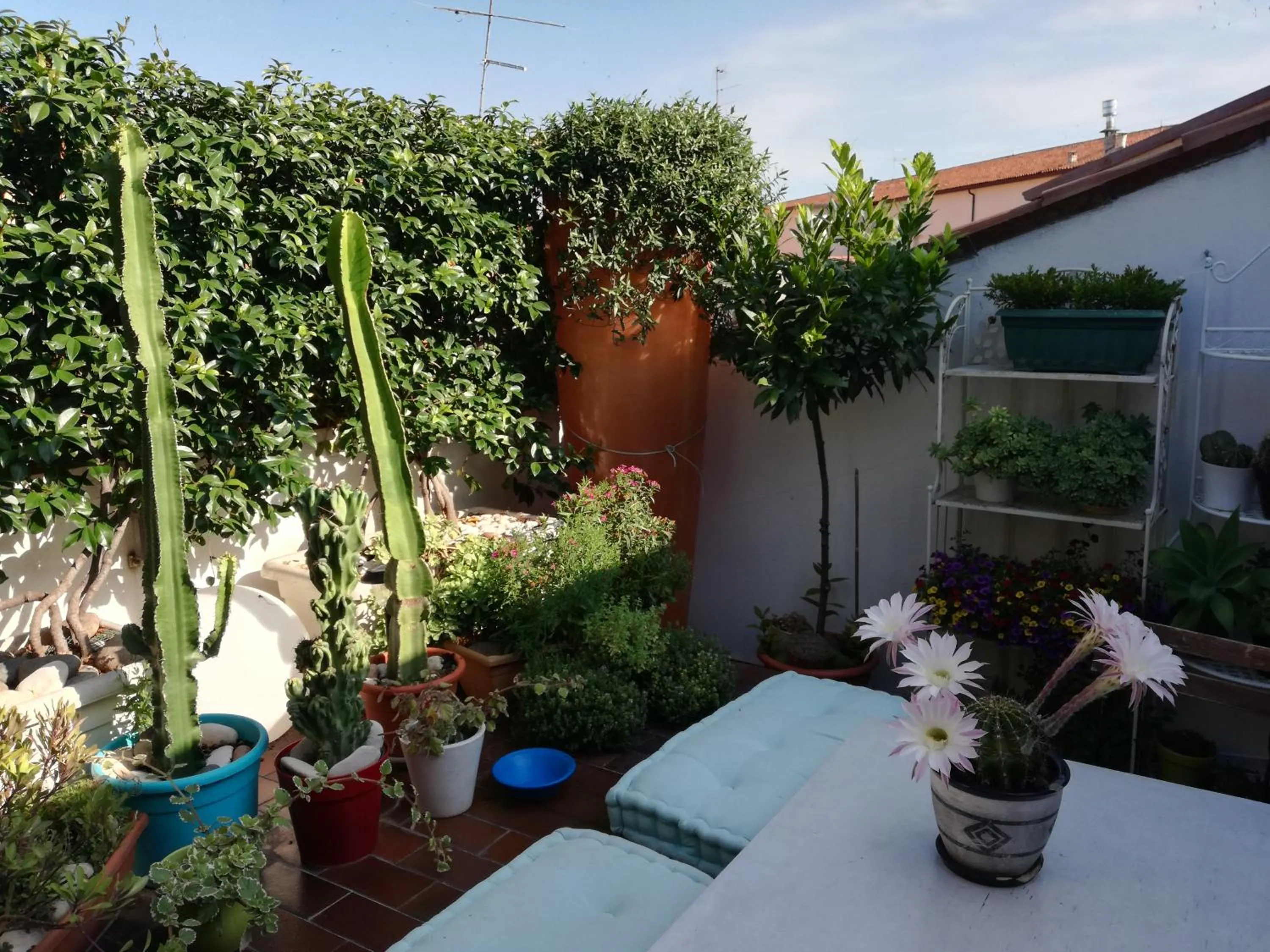 Balcony/Terrace in B&B Casanova