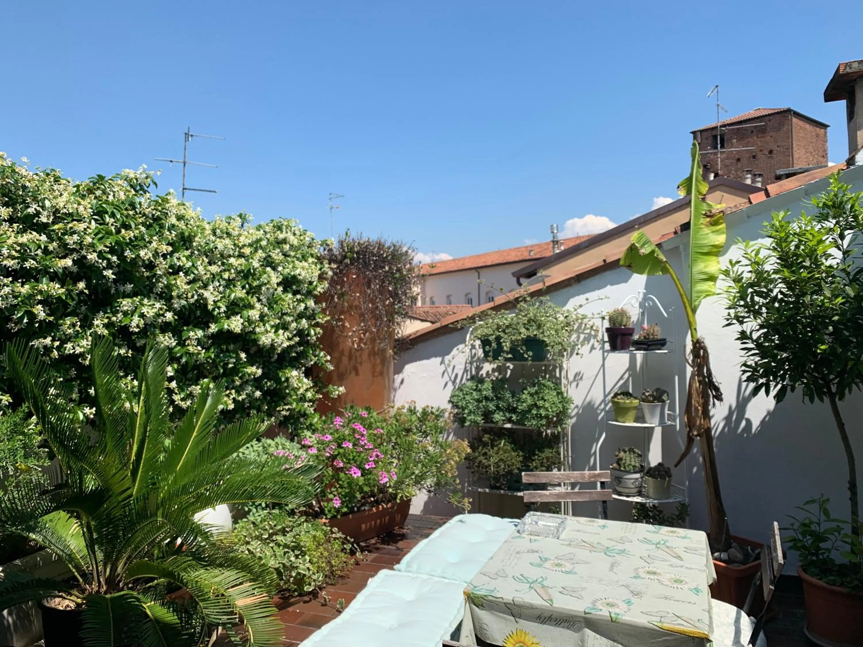 Balcony/Terrace in B&B Casanova