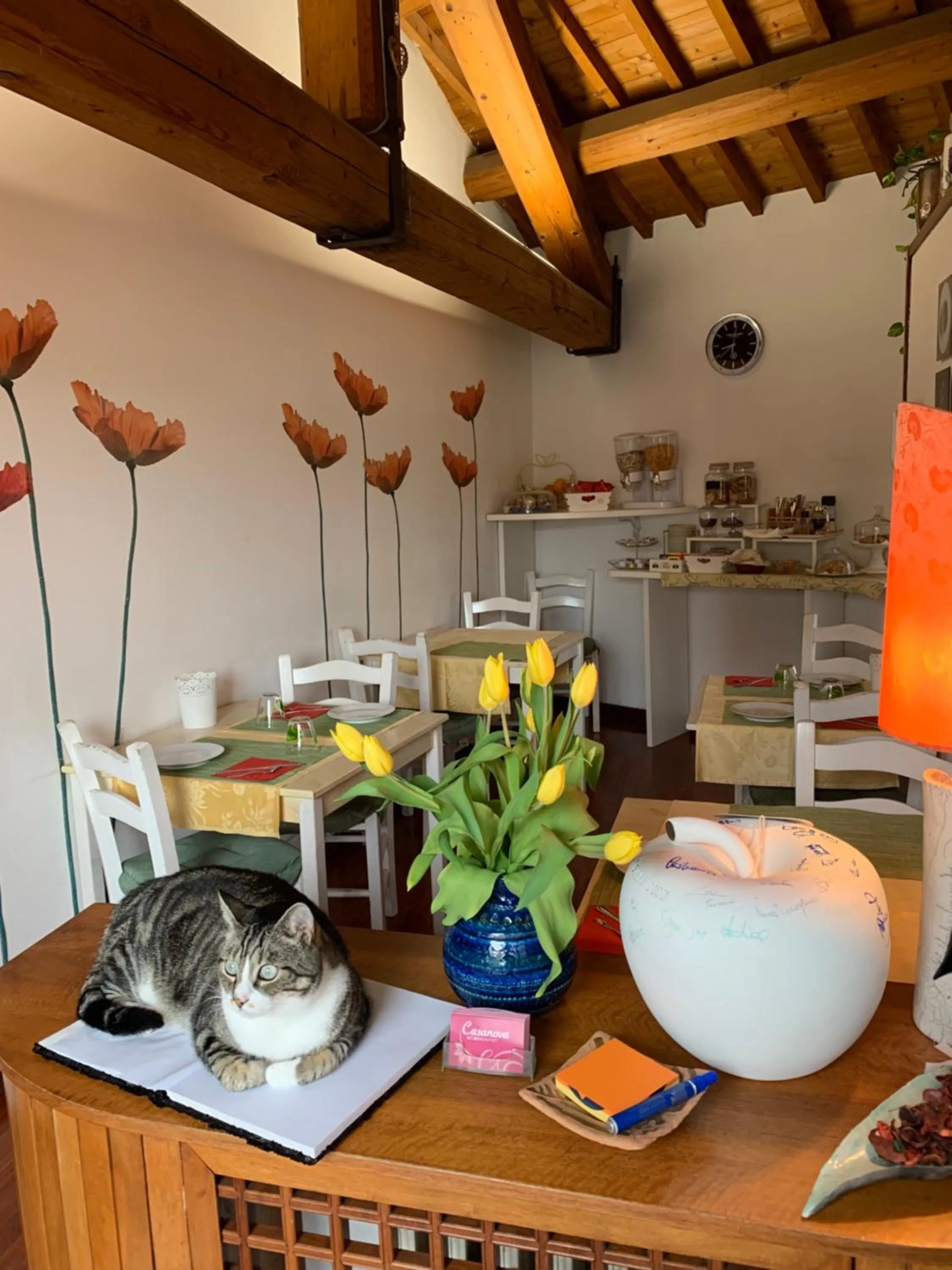 Food and drinks in B&B Casanova