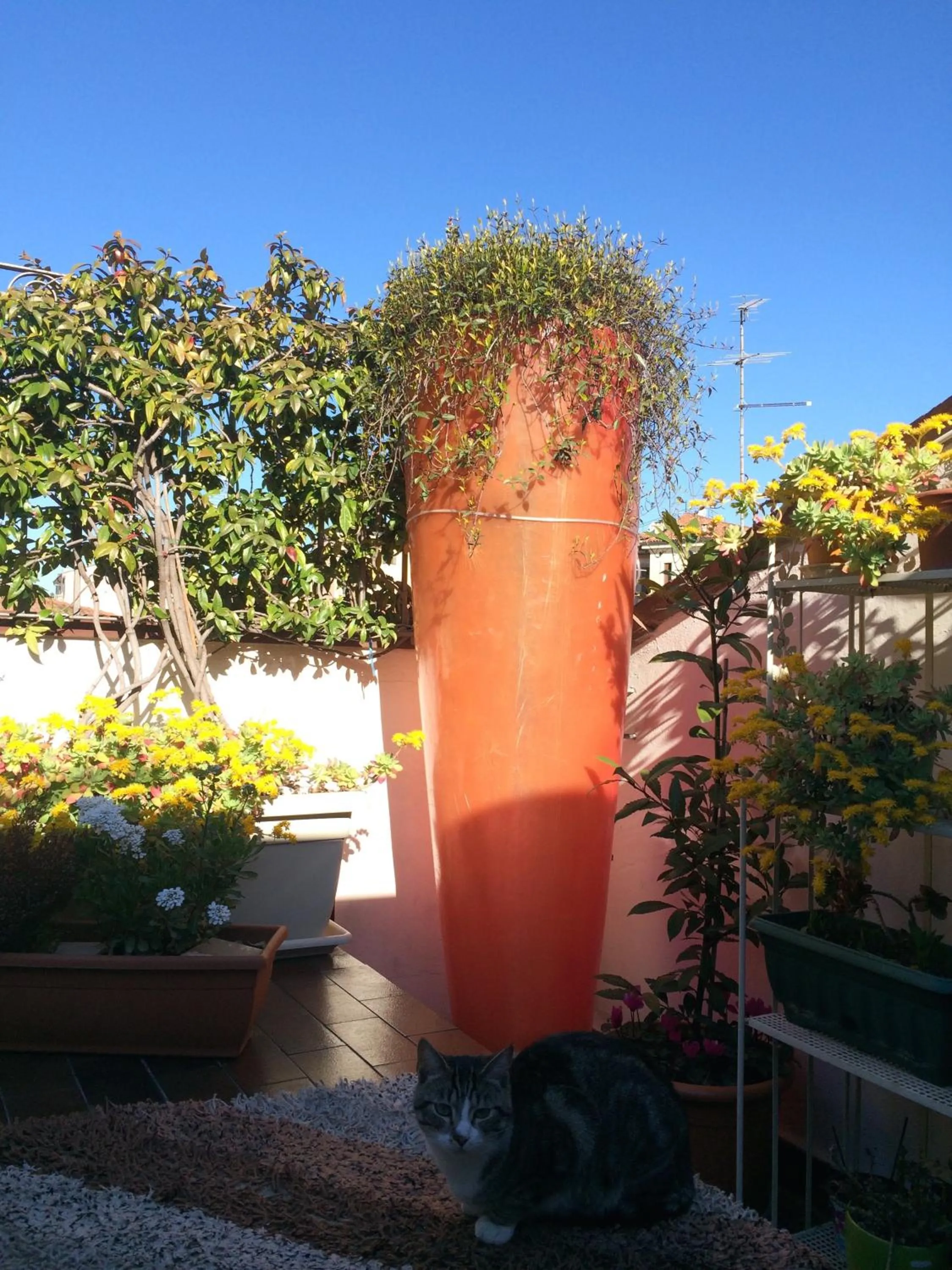 Balcony/Terrace in B&B Casanova