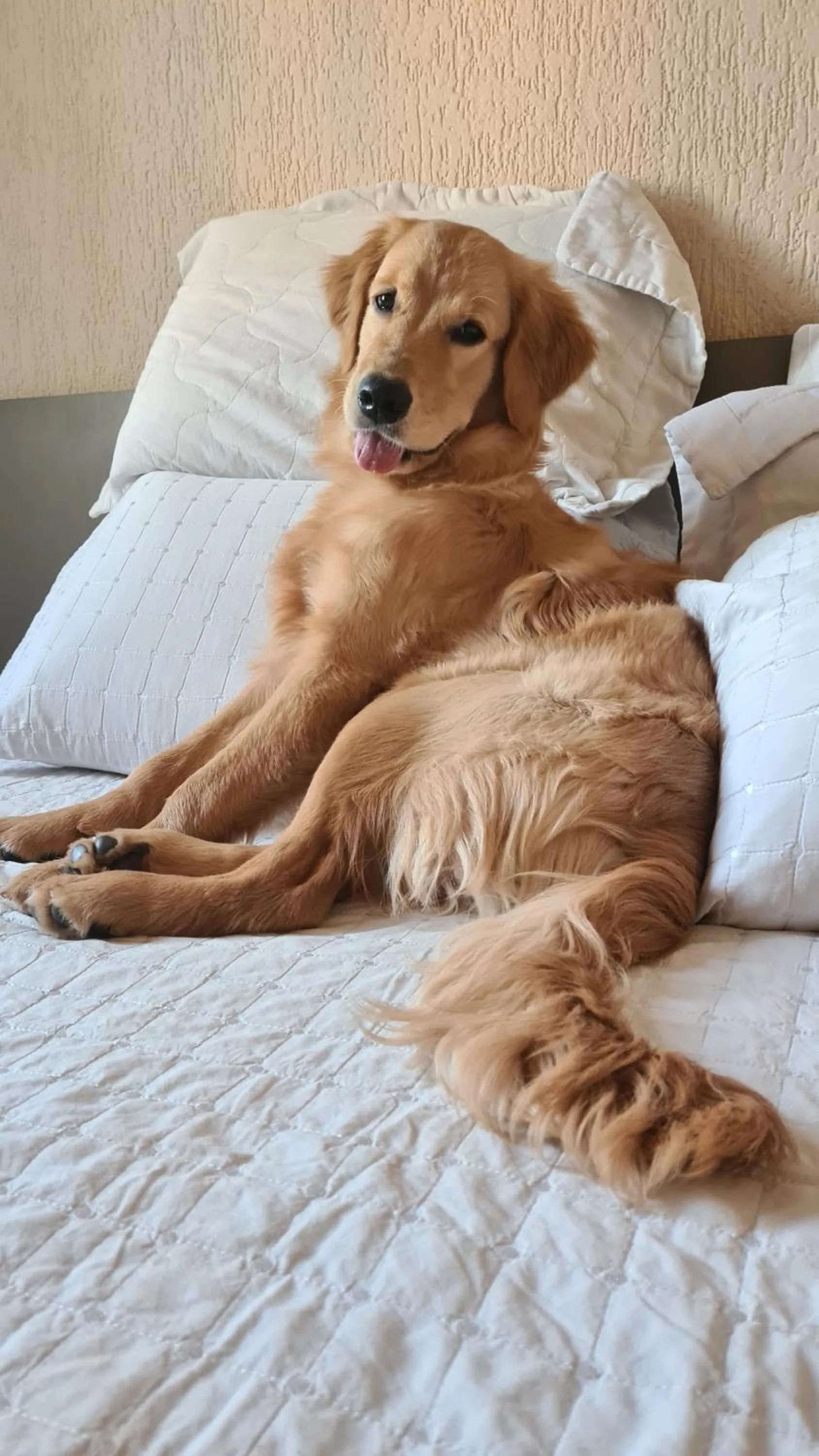 Bedroom, Bed in Realminas Hotel e Restaurante
