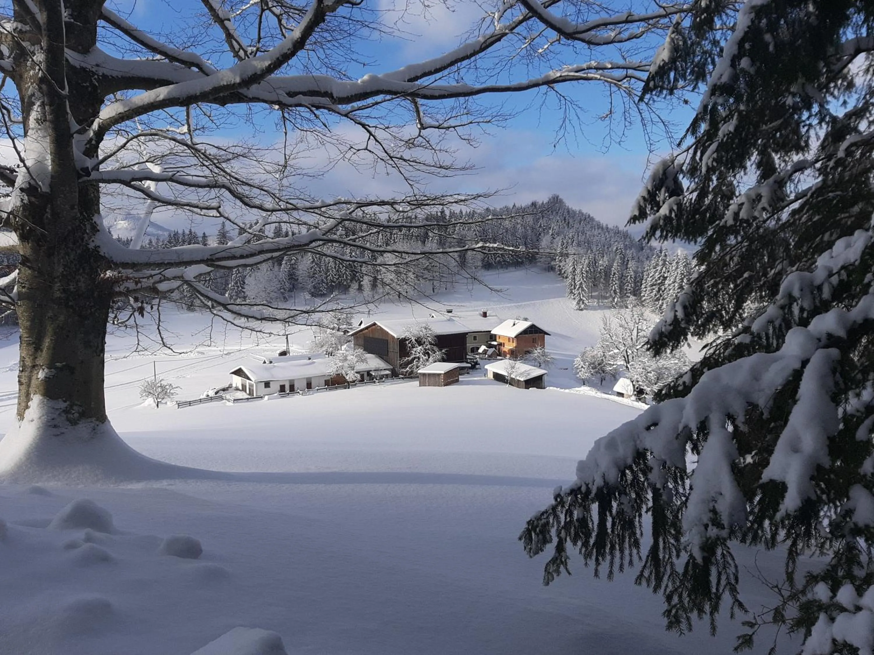 Bauernhof Ablass