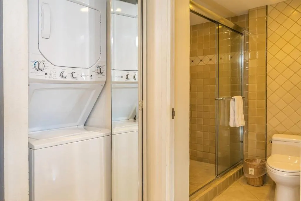 washing machine in Mahana 316