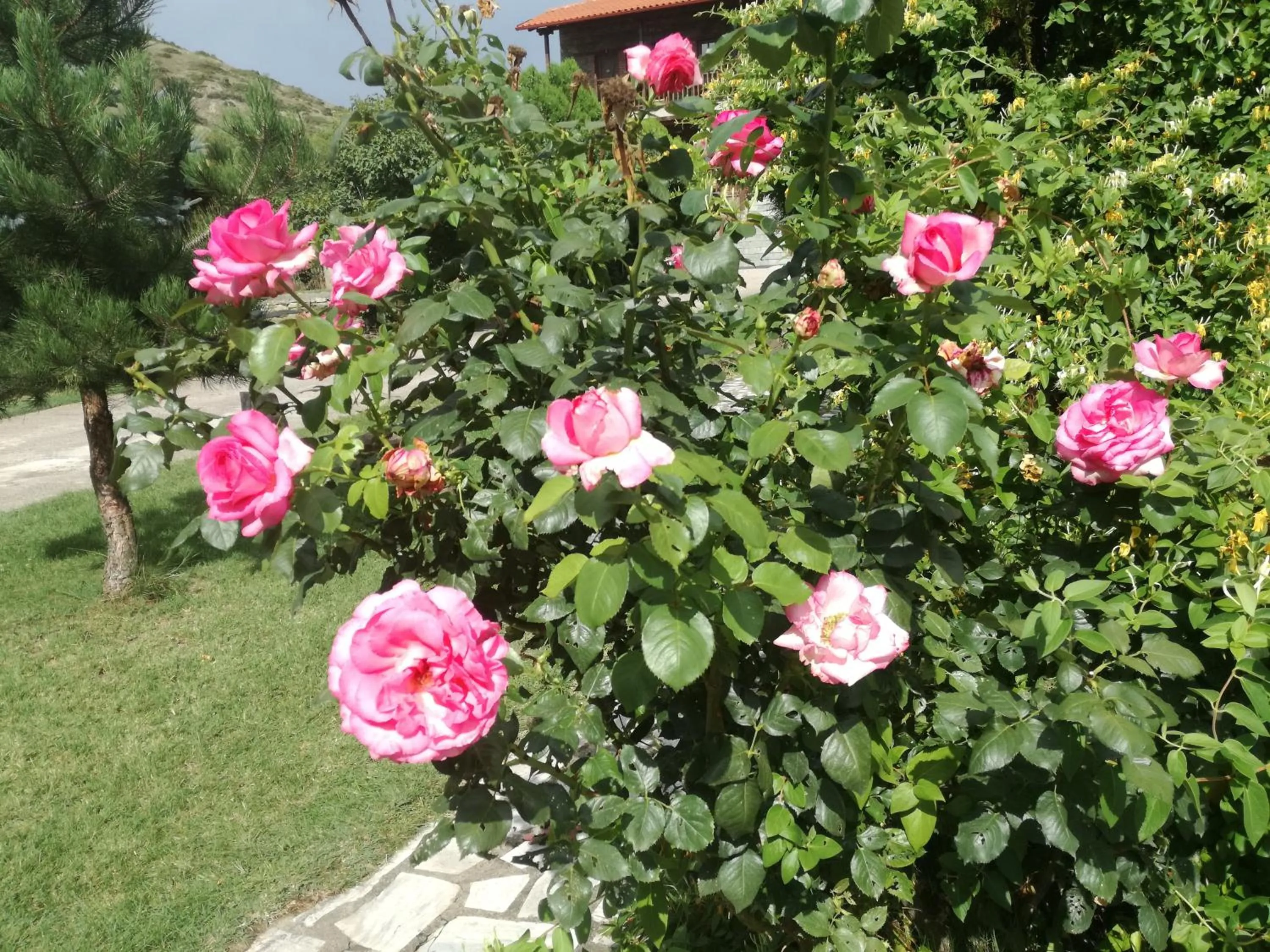 On site in Prespa Resort & Spa