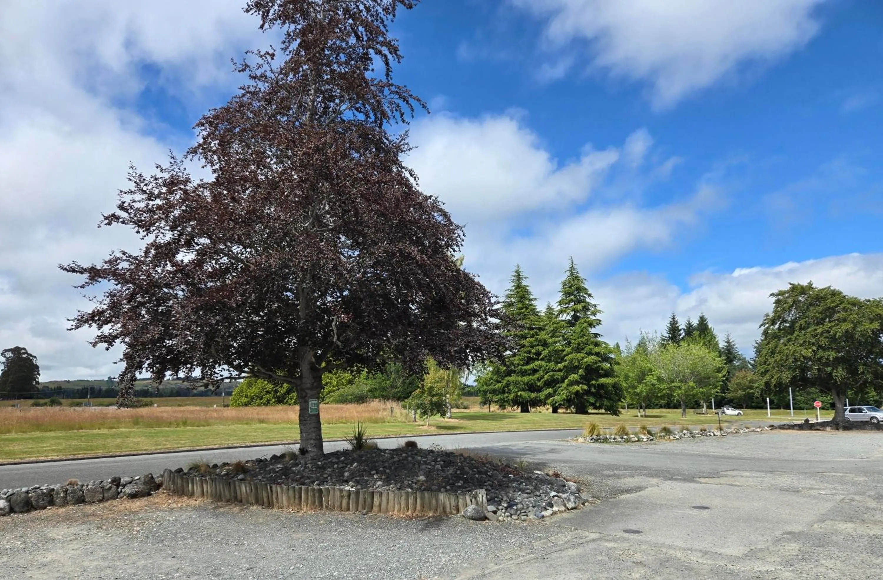 View (from property/room) in Fiordland Hotel