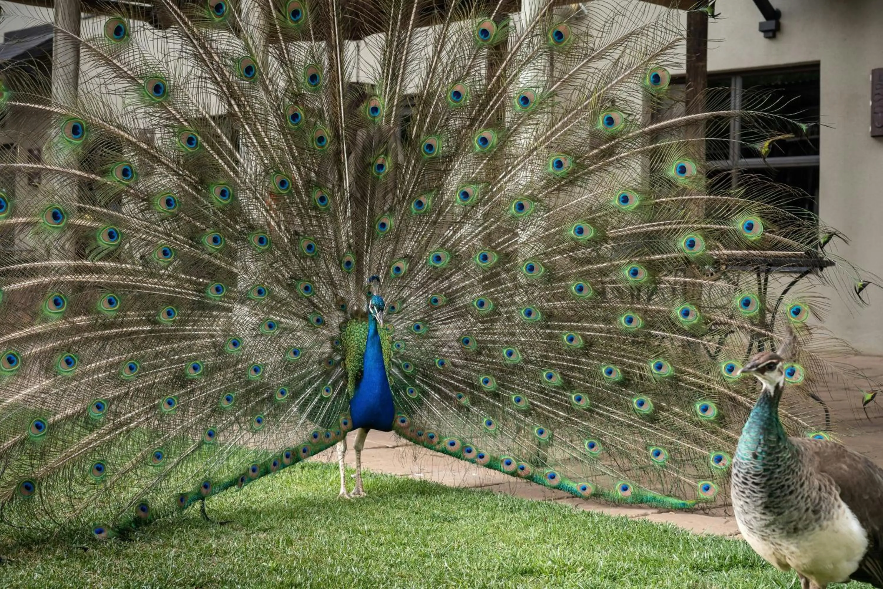 Other in Protea Hotel by Marriott Bloemfontein Willow Lake