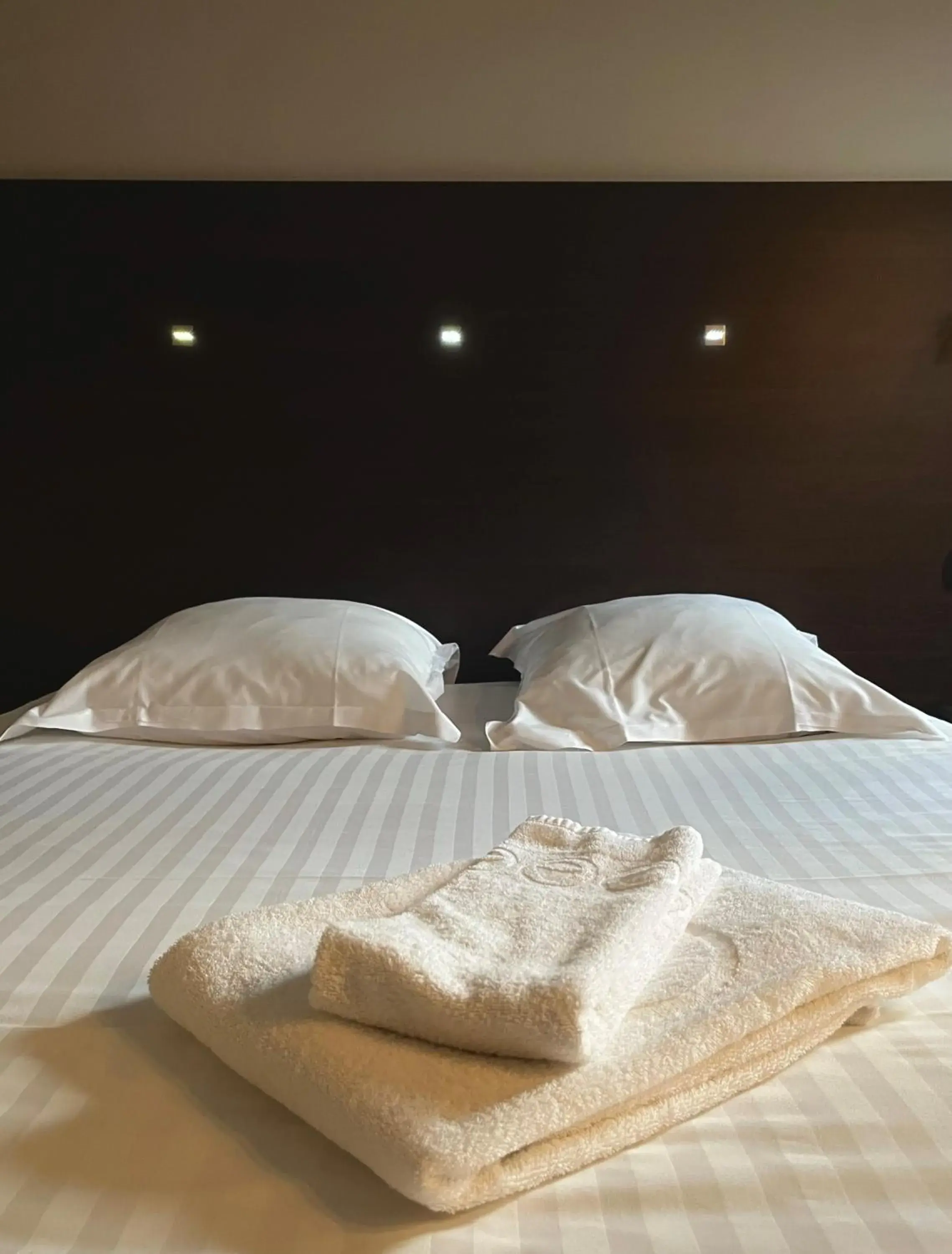 Double Room in Parc Hôtel Double Room in Parc Hôtel