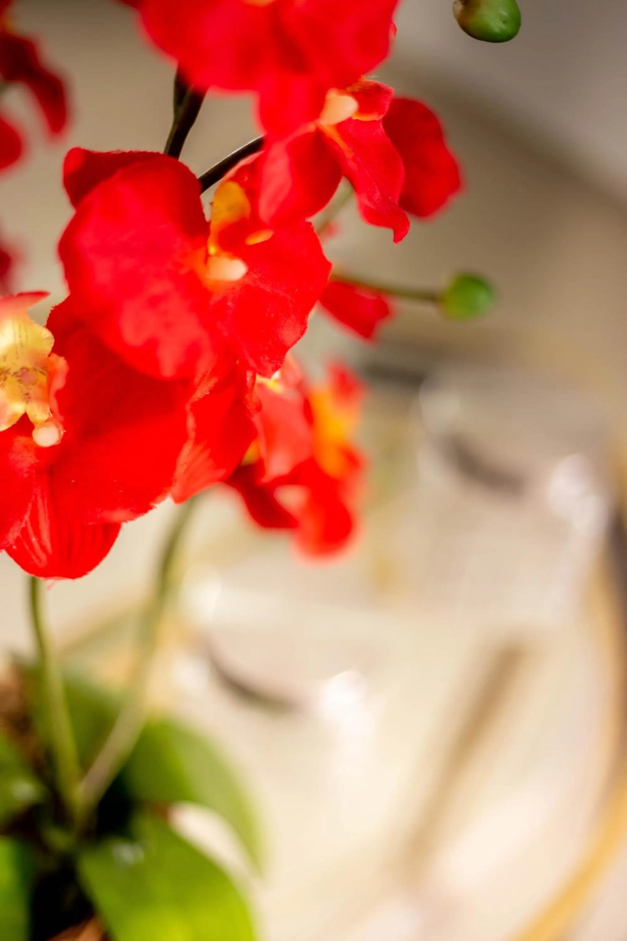 Decorative detail in FLAT MARINAS PRAIA HOTEL