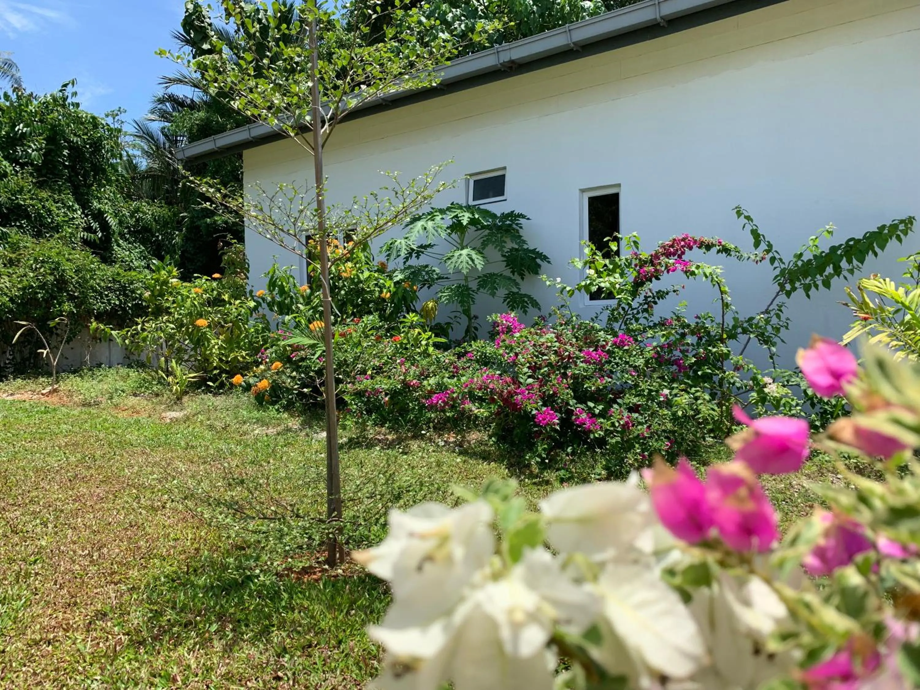 Garden in Cloud9 Holiday Cottages