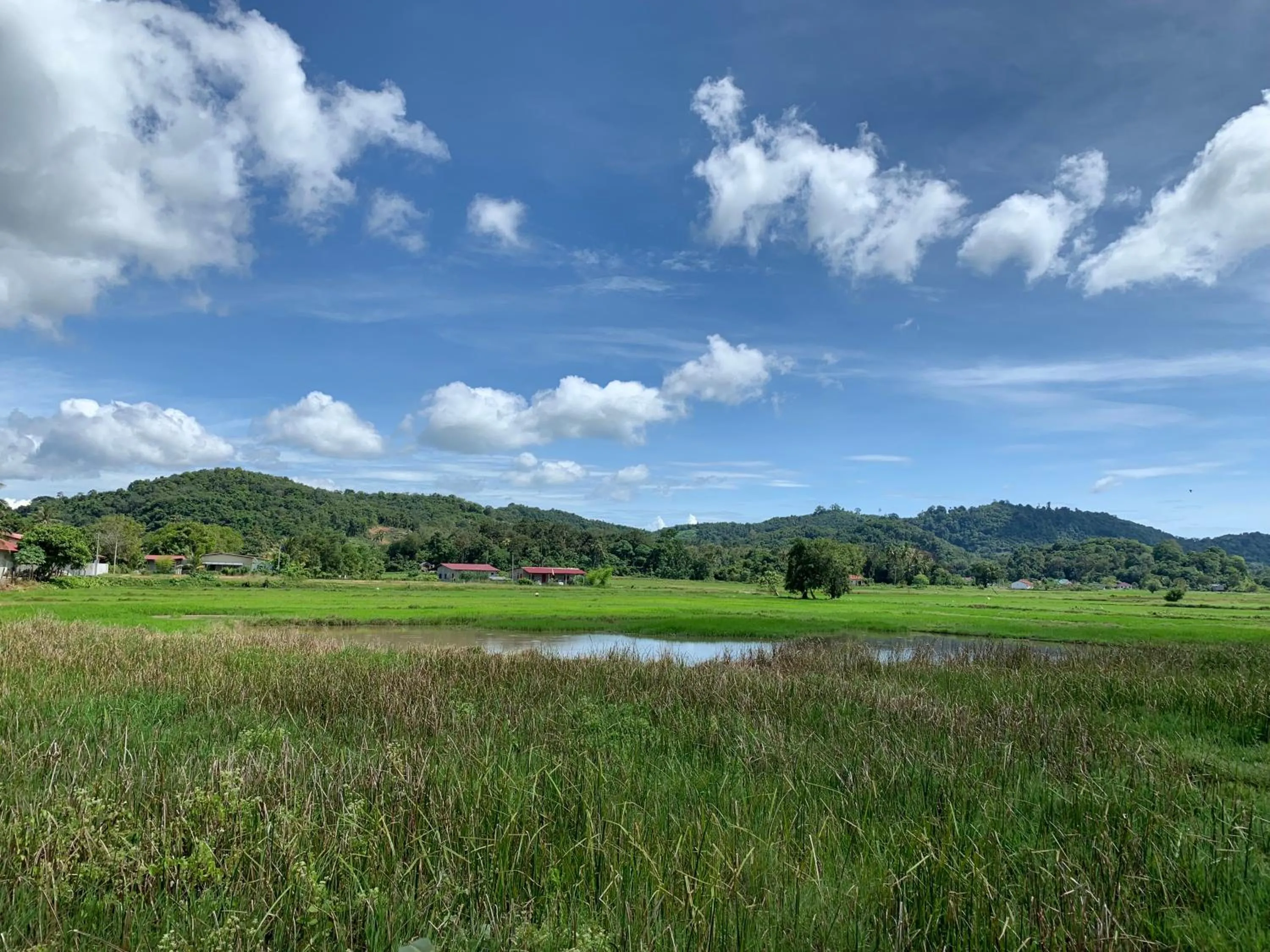 Natural landscape in Cloud9 Holiday Cottages