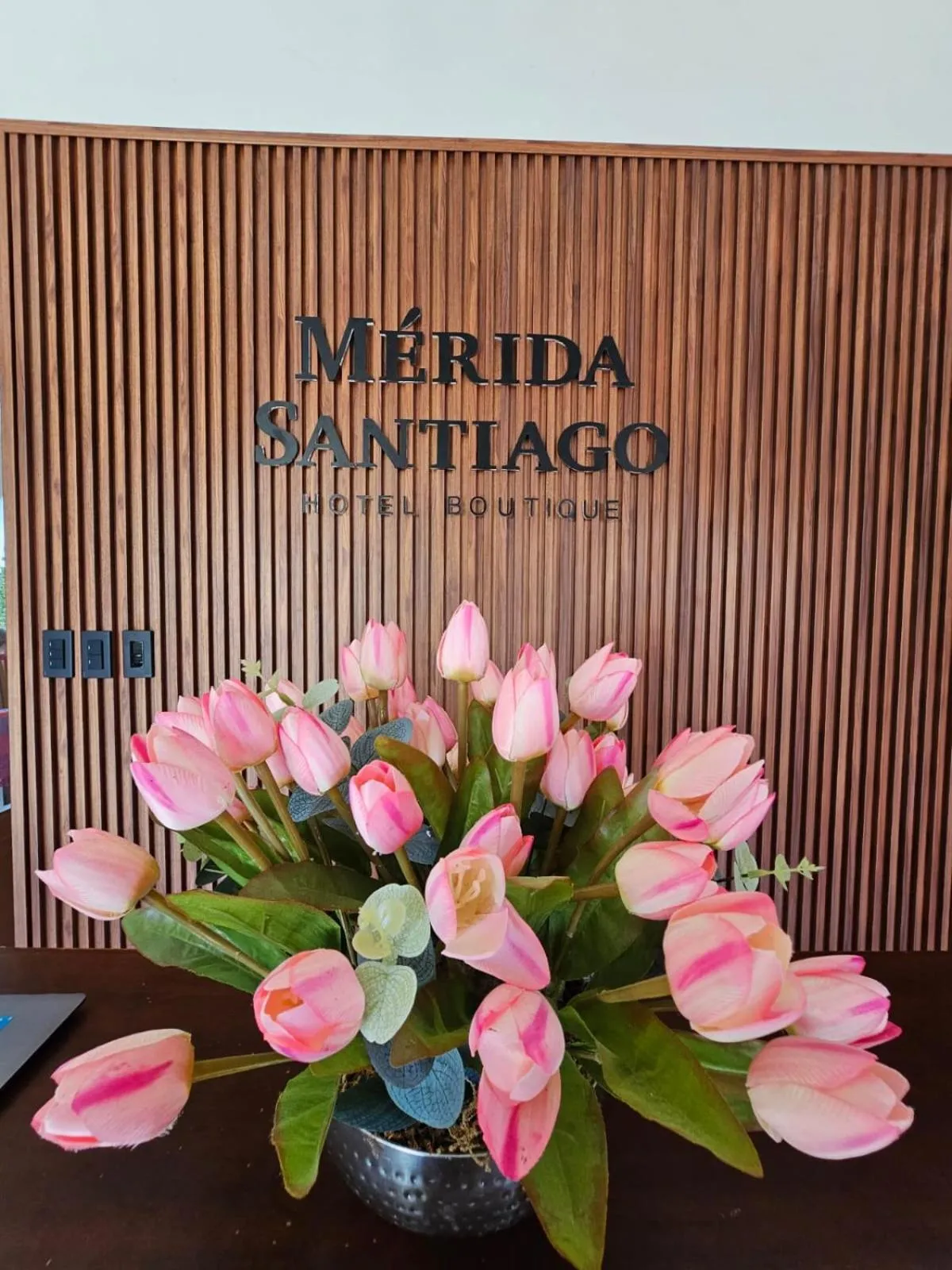 Lobby or reception in Merida Santiago Hotel Boutique