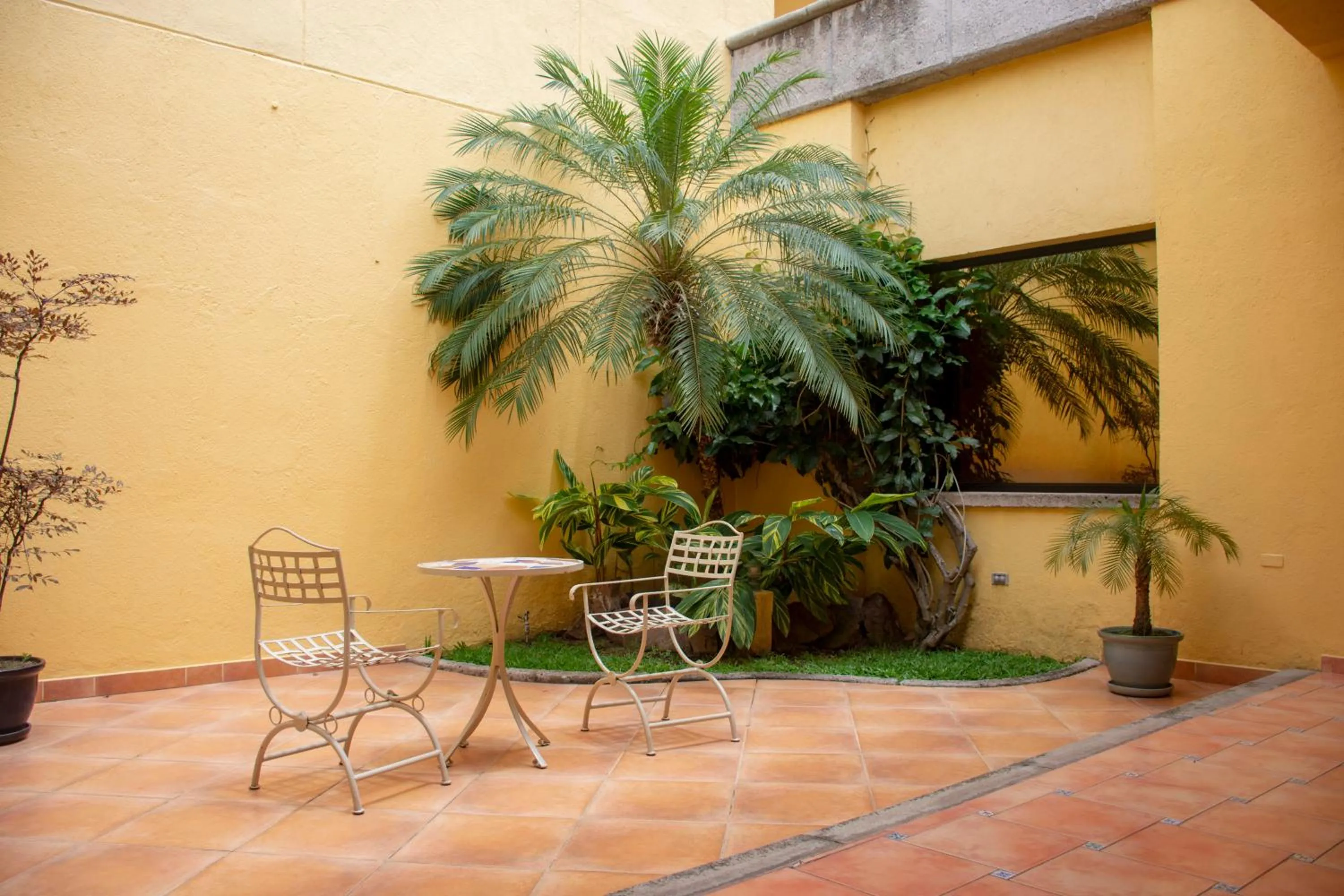 Patio in Hotel Mac Arthur