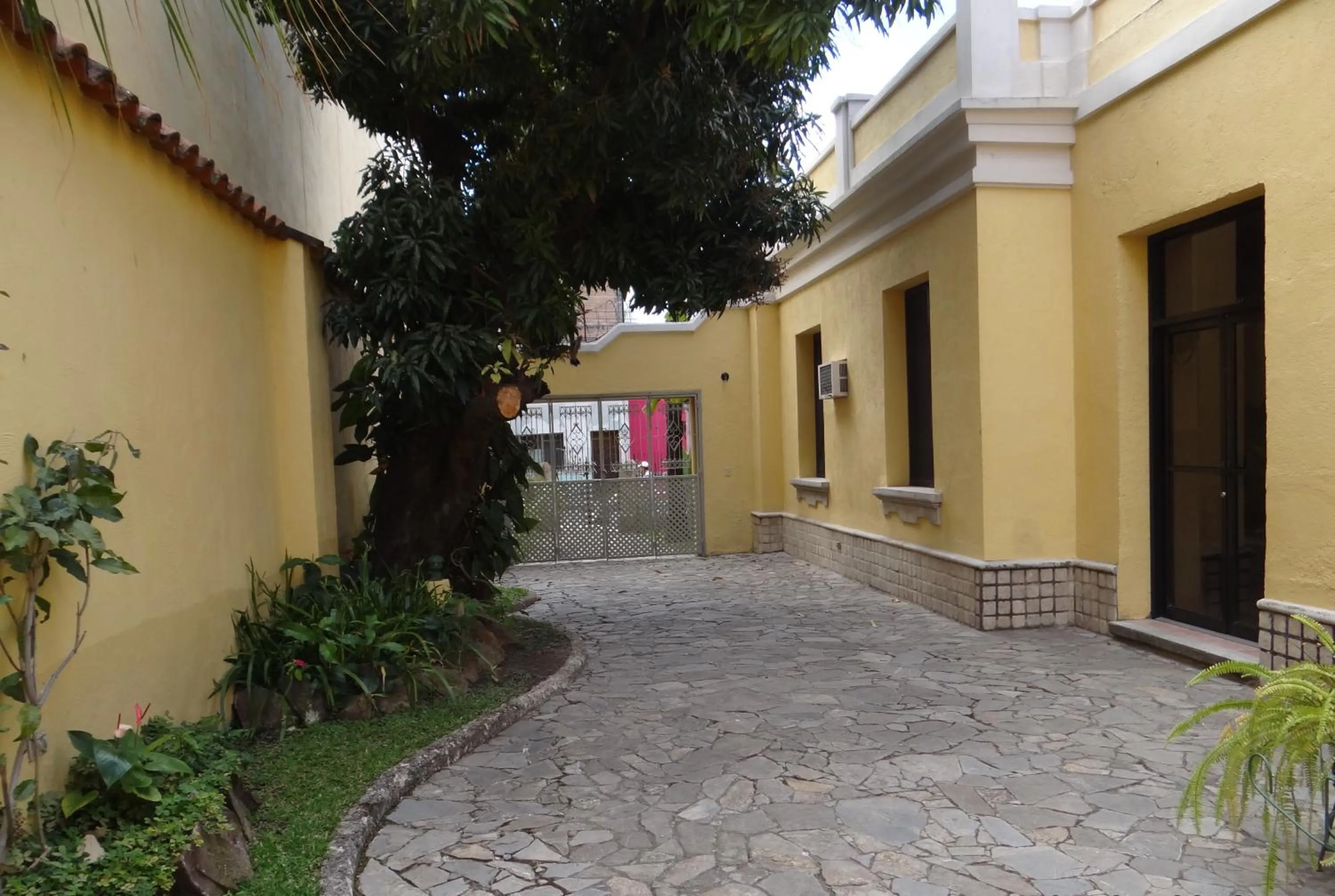 Garden in Hotel Mac Arthur