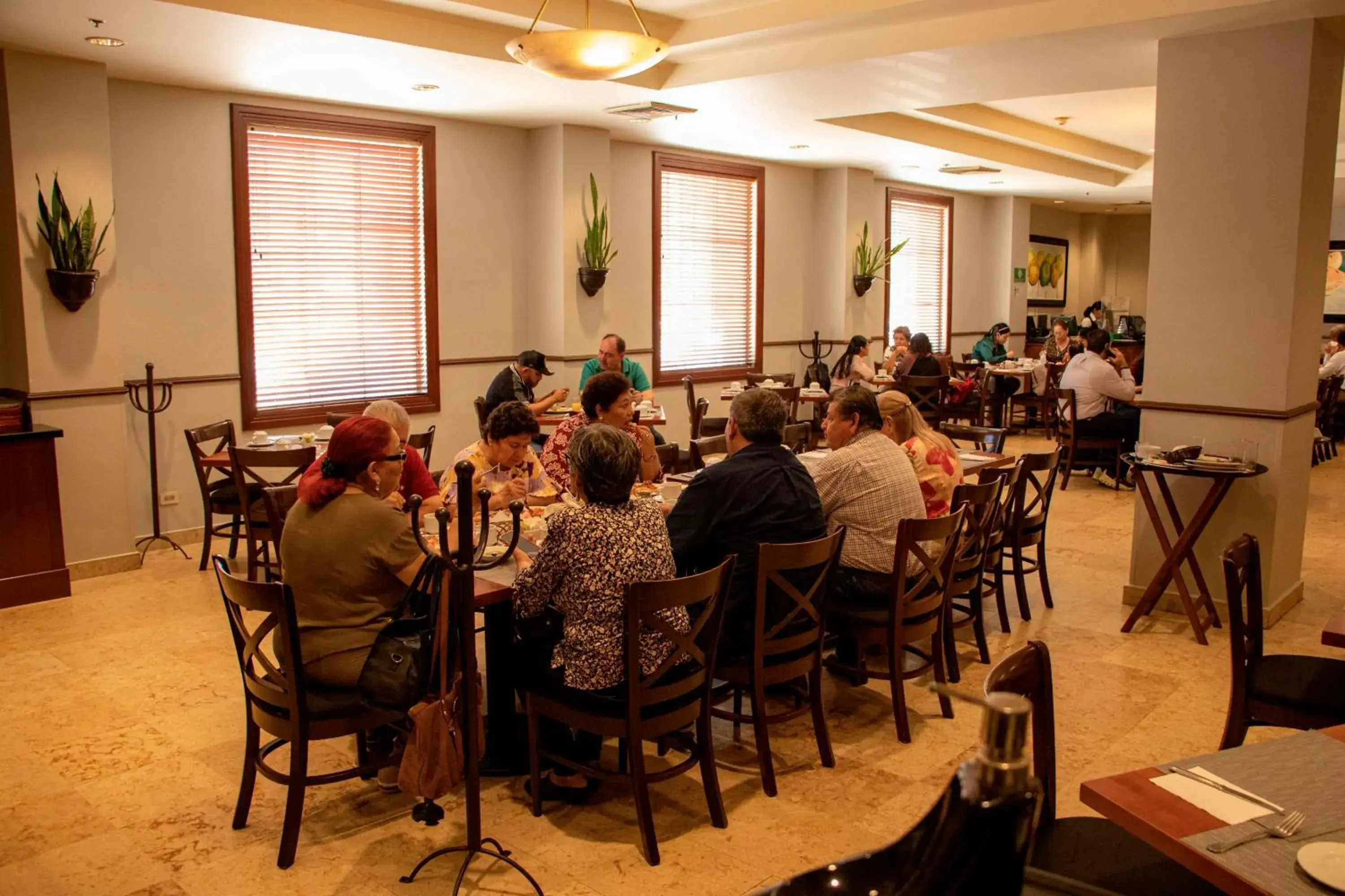 Restaurant/places to eat in Best Western PLUS Los Mochis Restaurant/places to eat in Best Western PLUS Los Mochis