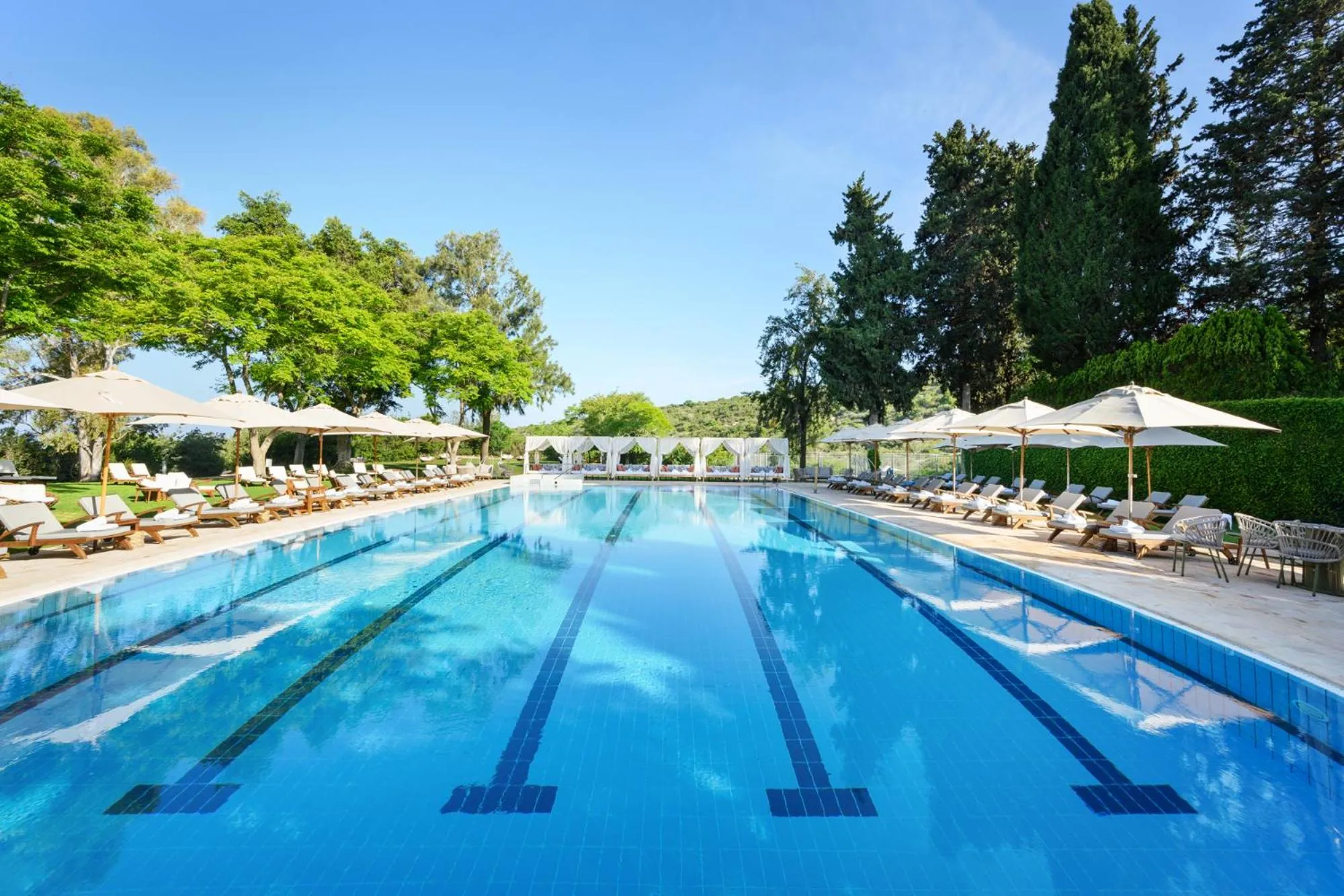 Swimming pool in Carmel Forest by Isrotel Exclusive