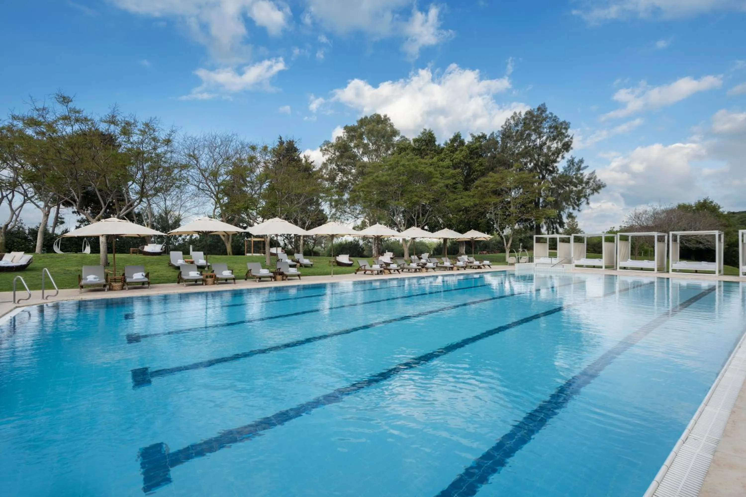 Swimming pool in Carmel Forest by Isrotel Exclusive